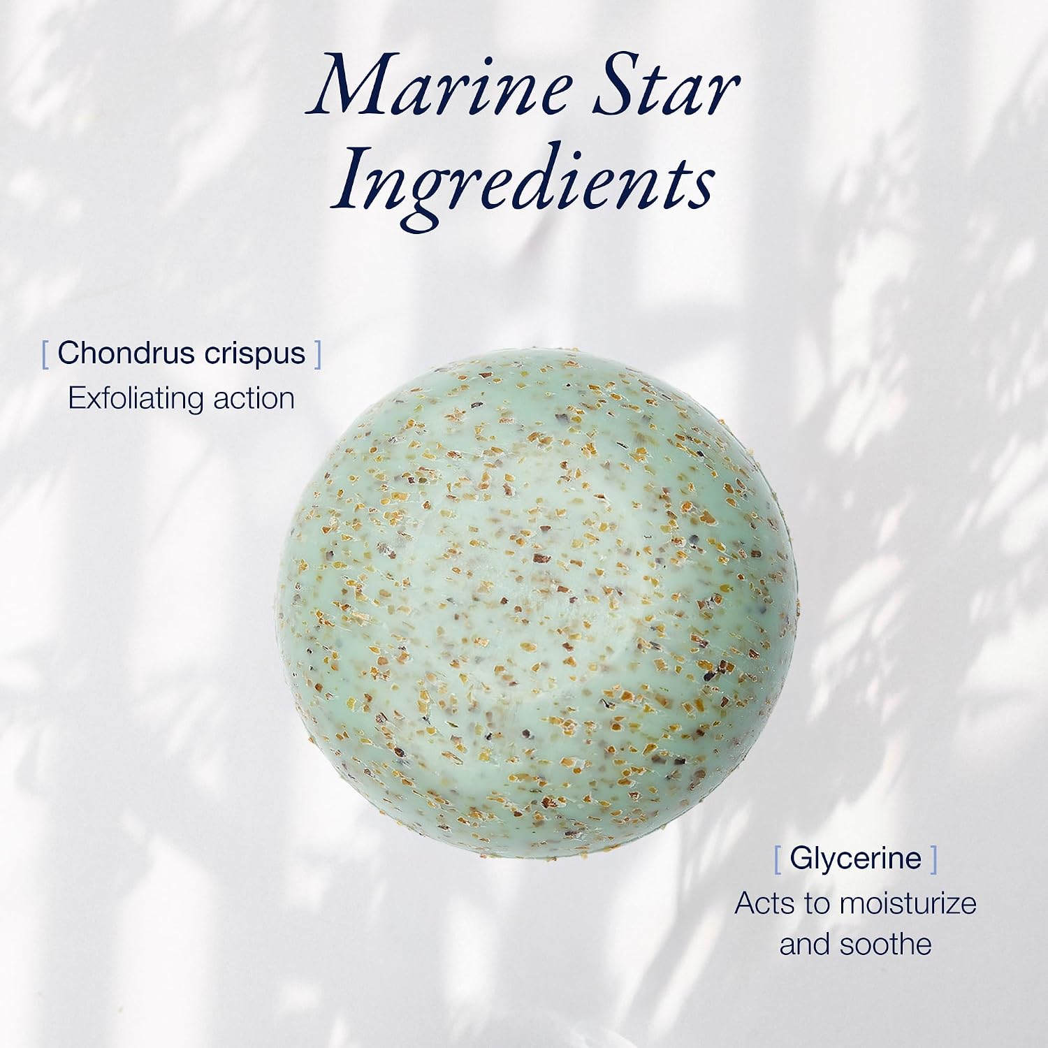 Phytomer Seaweed Soap Bar with Exfoliating Cleansing Particles (150 gr) | With Red Algae and Glycerine Marine Formula for Gentle Exfoliation of Dead