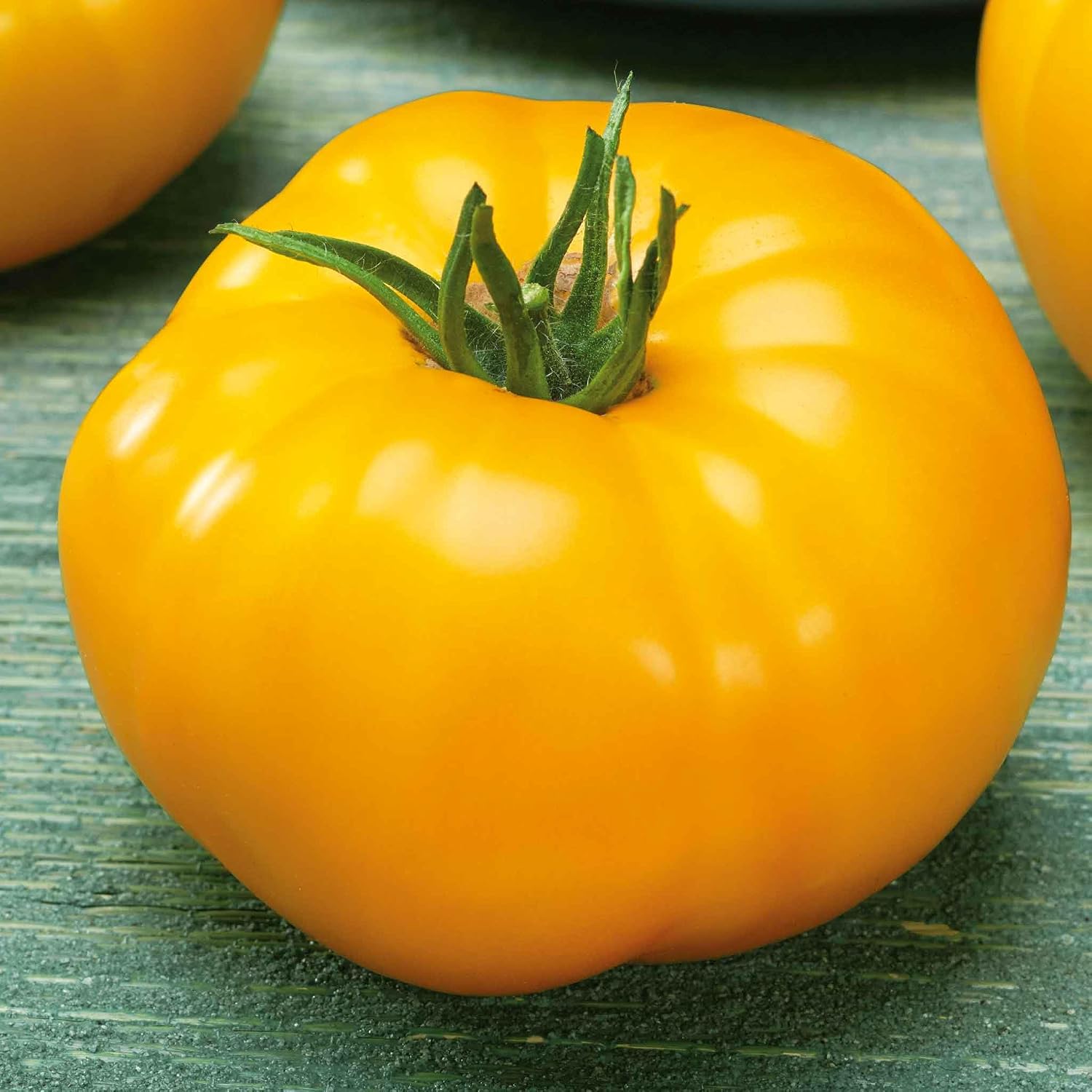 Eden Brothers Tomato Seeds - Persimmon Non-GMO Seeds for Planting, 1 oz | Low-Maintenance Vegetable Seeds, Plant During Warm Season, Zones 10, 3, 4, 5, 6, 7, 8, 9