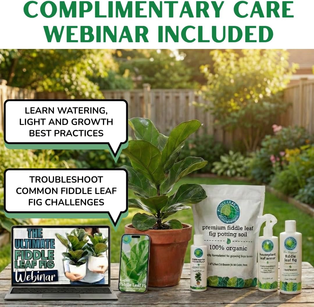 Organic Fiddle Leaf Fig Soil, Well-Draining Potting Mix, Large 7.5L Bag