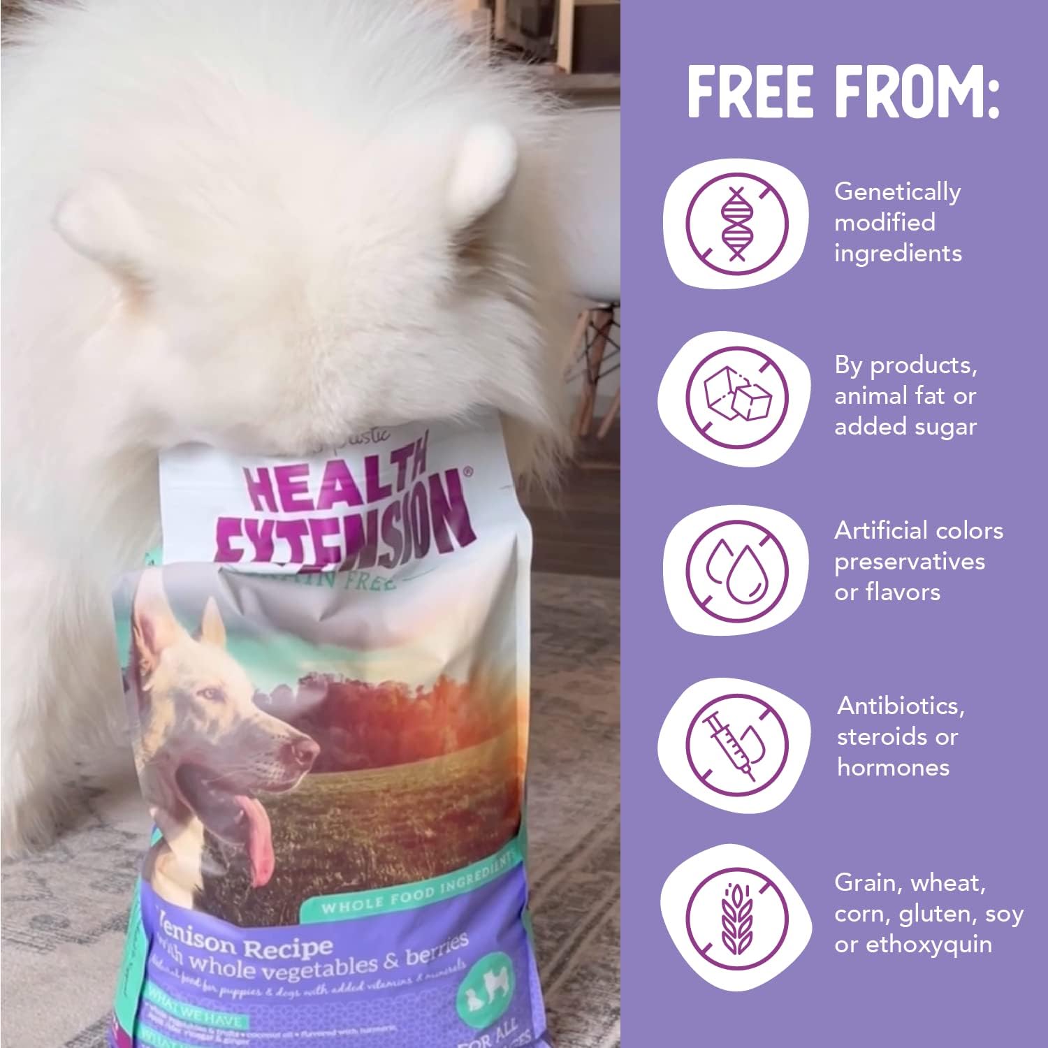 Health Extension Grain Free Venison & Sweet Potato Dry Dog Food - 30+ Superfoods and Probiotics for All Life Stages (10 lb)