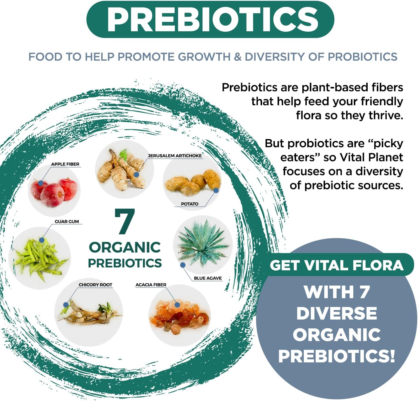 Vital Planet - Vital Flora Immune Support Probiotic, 60 Billion CFU, 60 Diverse Strains, 7 Organic Mushroom Supplement Blend with Prebiotics