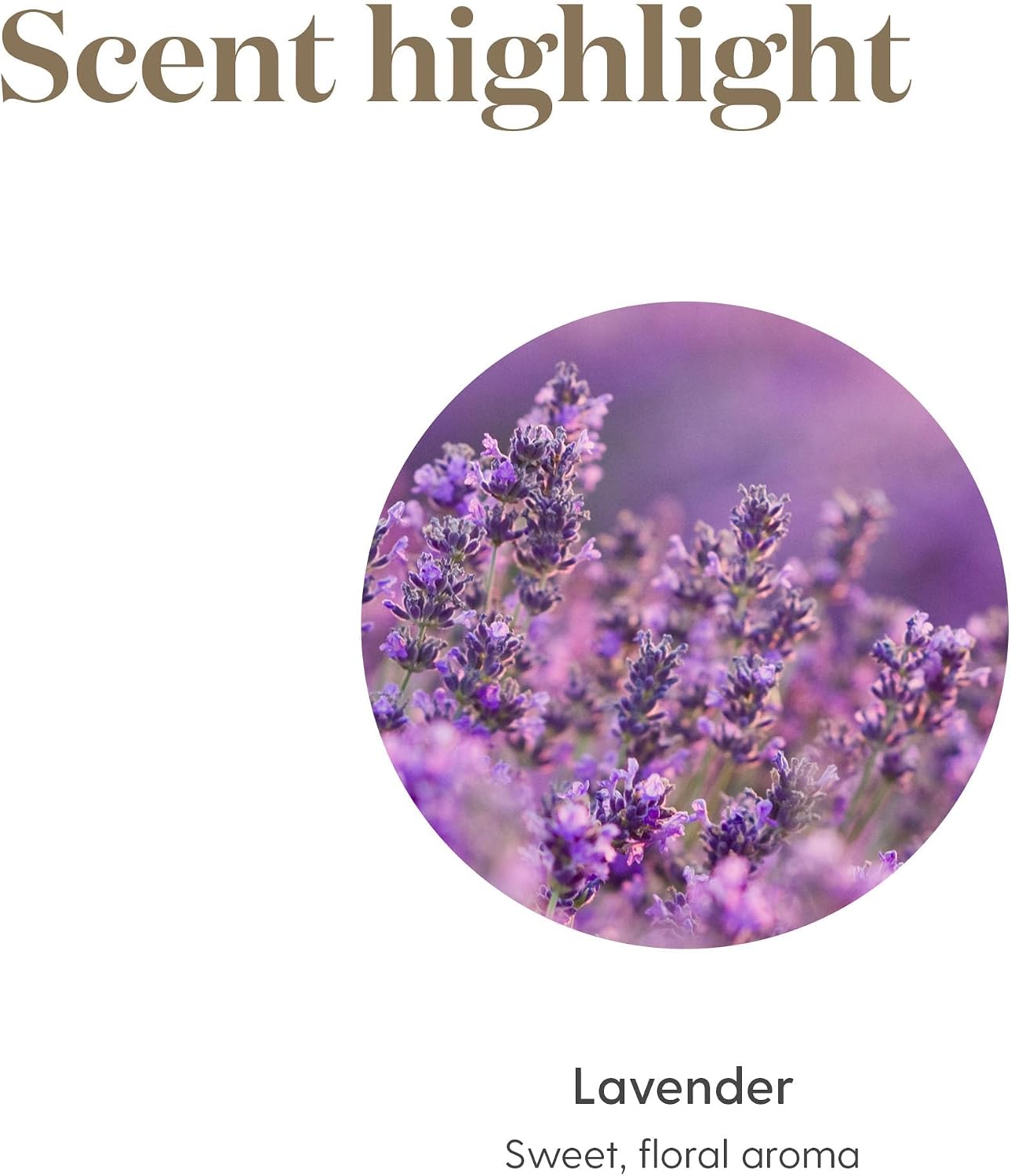 Young Living Purification Essential Oil Blend, 15ml - Aromatherapy Diffuser - Ideal for Cleansing Skin - Skincare and Beauty Addition - Pure & Natural