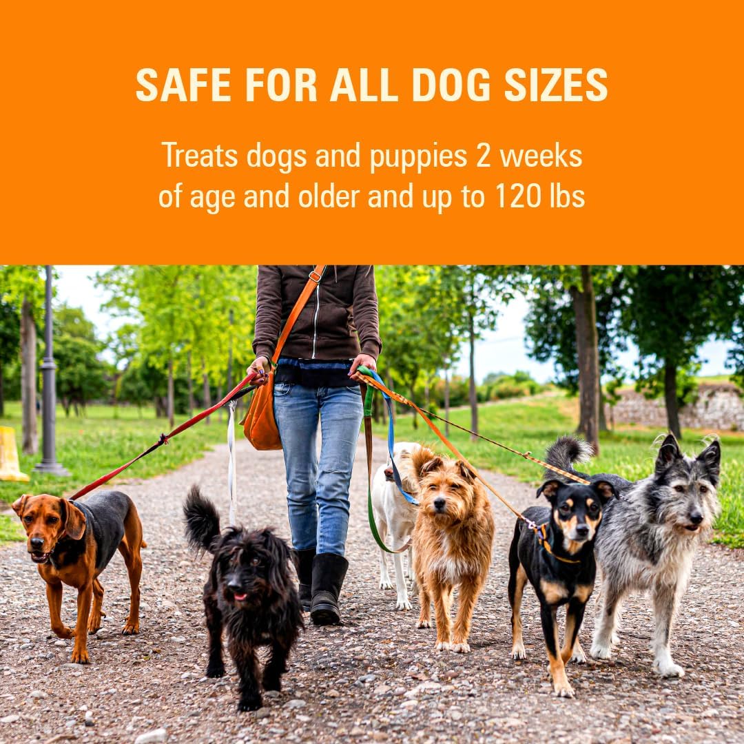 Worm X Plus 7 Way Liquid Dewormer for Dogs 2 oz Broad Spectrum Canine Anthelmintic Suspension Removes Hookworms and Roundworms for Dogs Up to 120 lbs | Ideal for Dogs up to 120 lbs; Precise Weight-Based Dosing; broad-spectrum canine parasite control; 2 o…
