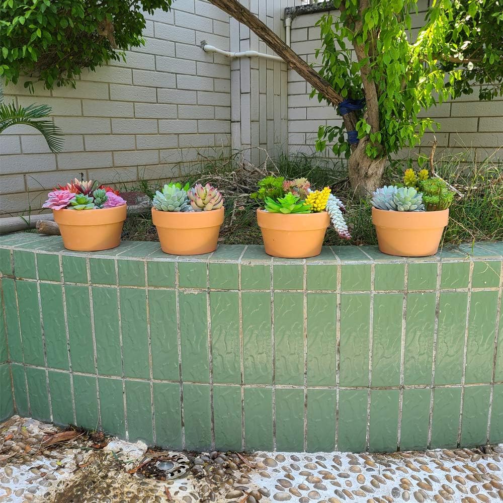 Yishang 6 Inch Terracotta Shallow Planters, Ceramic Flower Clay Plant Pots with Drainage Hole