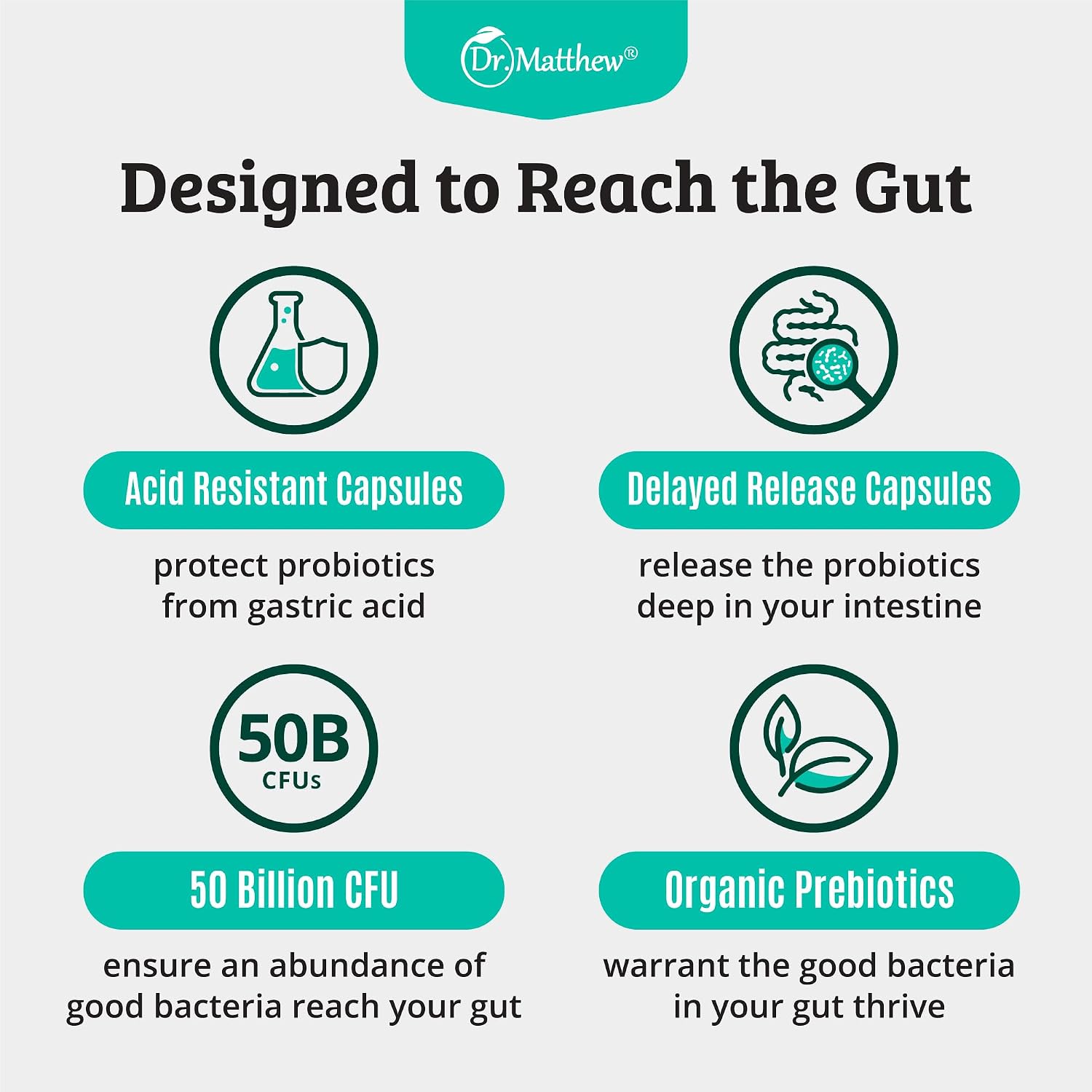 Prebiotics and Probiotics: Lactobacillus Gasseri, Lactobacillus Rhamnosus, Plantarum, Casei, Bifidobacterium longum, lactis