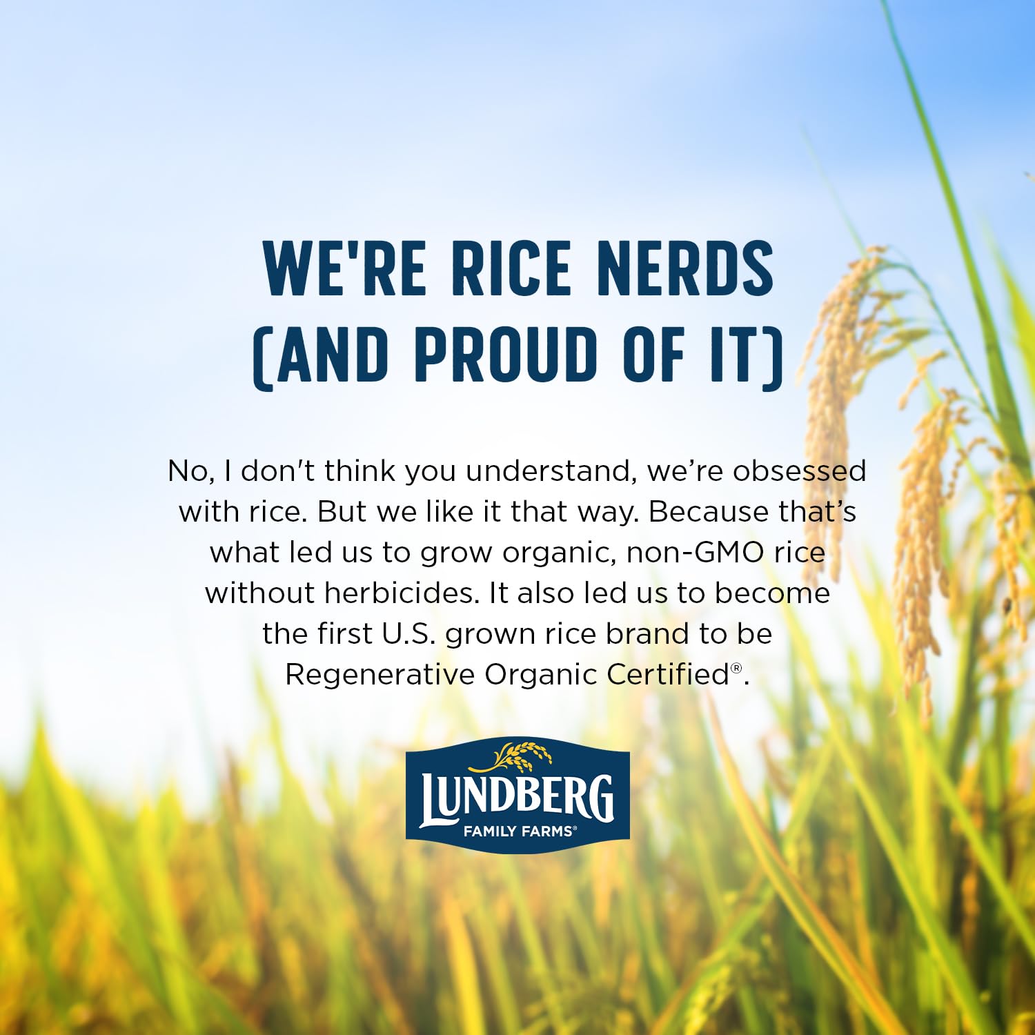 Lundberg Basmati Rice, Long Grain White Rice - Non-Sticky, Fluffy, Nutty, Aromatic Rice, Vegan Food, Healthy Meals, Gluten-Free, Grown in California, 64 Oz