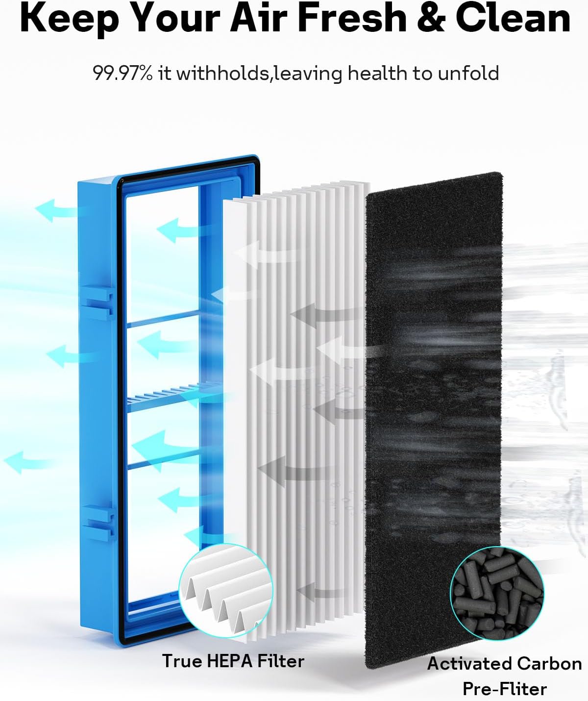 Leemone Aer1 Filter Replacement for Holmes/Bionaire Air Purifier, Blue 2+4
