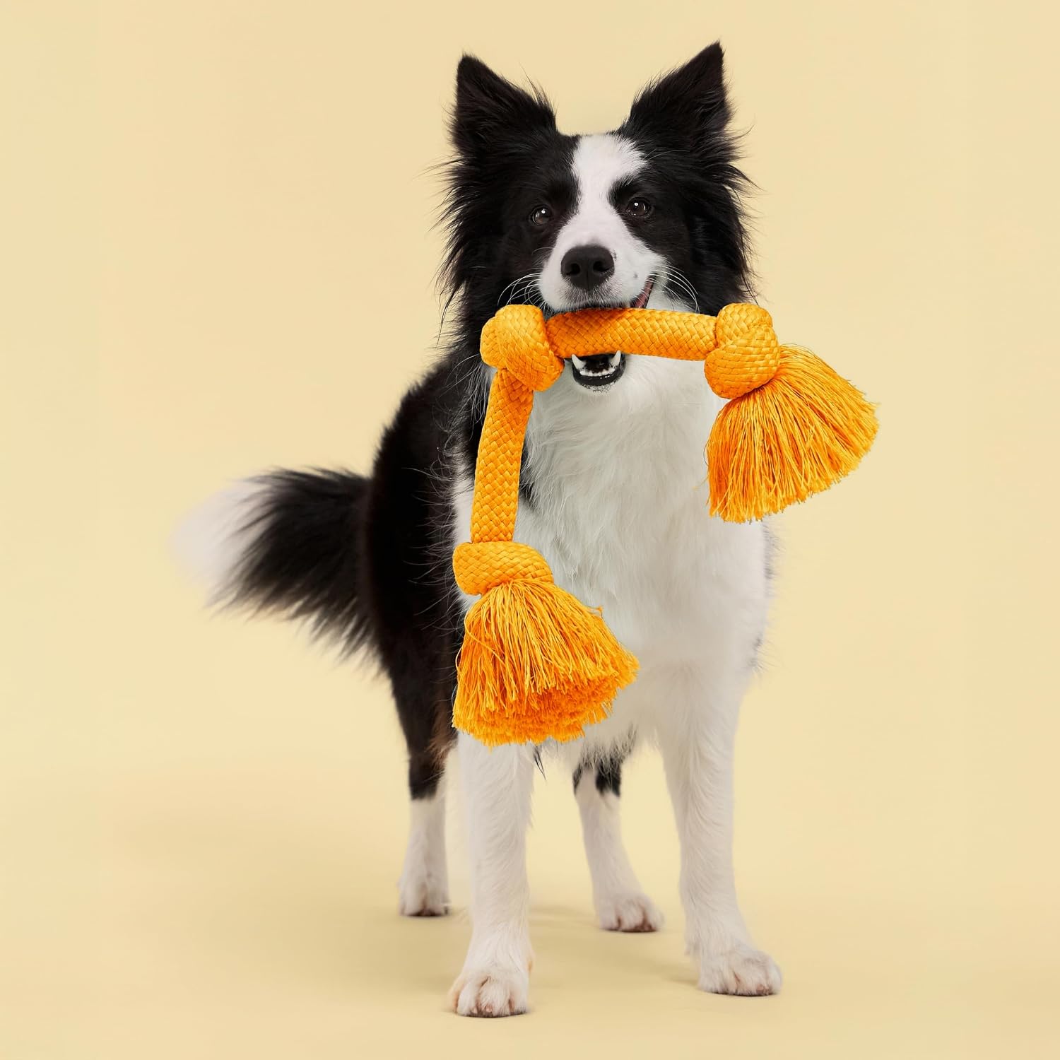 Playology Tug Rope Dog Toys for Large Breed Dogs - Jumbo, Beef Scent