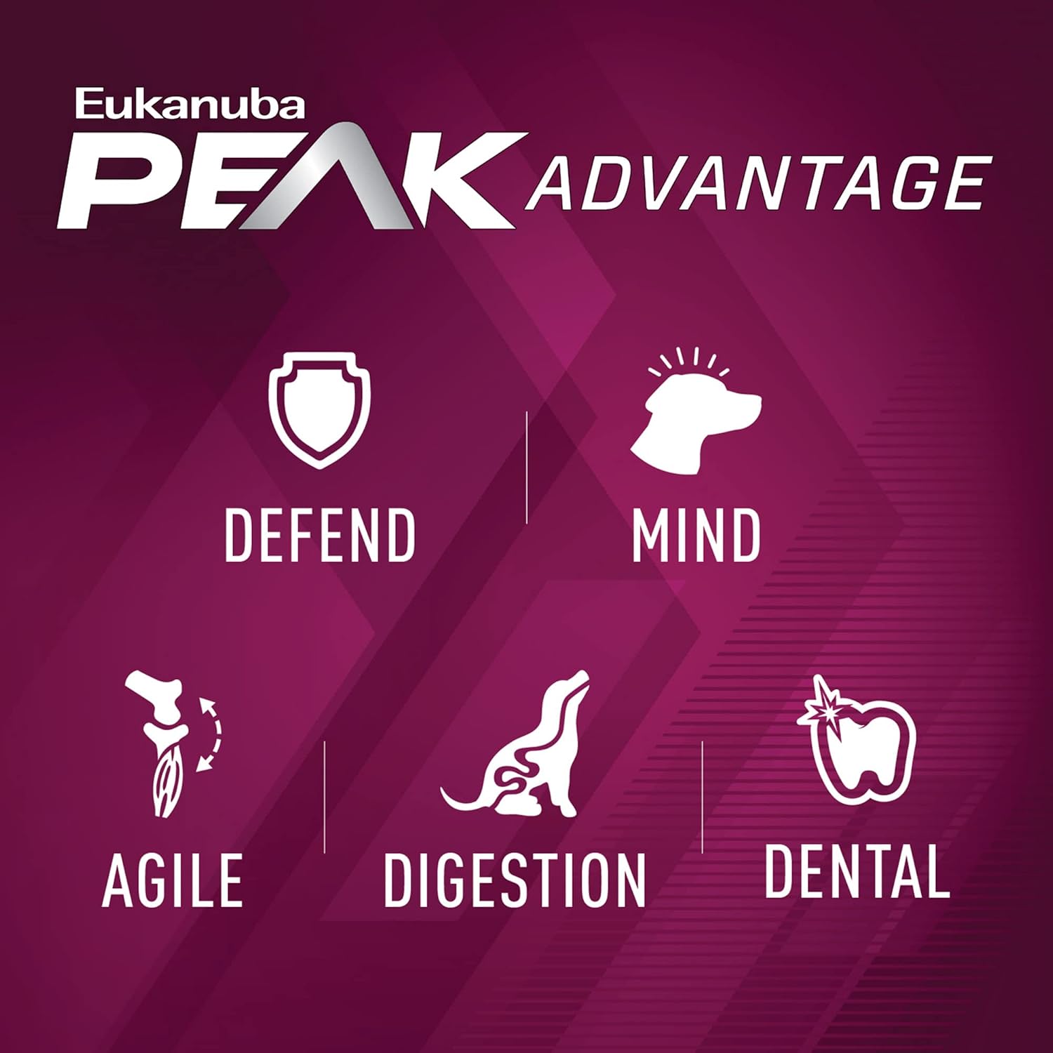 Eukanuba Adult Premium Performance 26/16 Exercise Dry Dog Food, 28 lb Bag