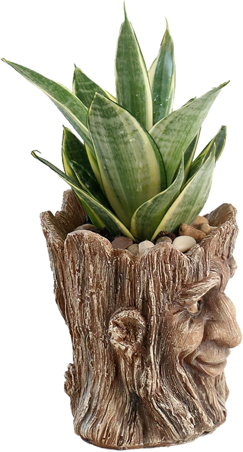 Funny Planter Head Face Plant Pot with Drainage Hole Resin Succulent Plant Holder Pencil Holder Desk Organizer Office Garden Gift (Smile Face)