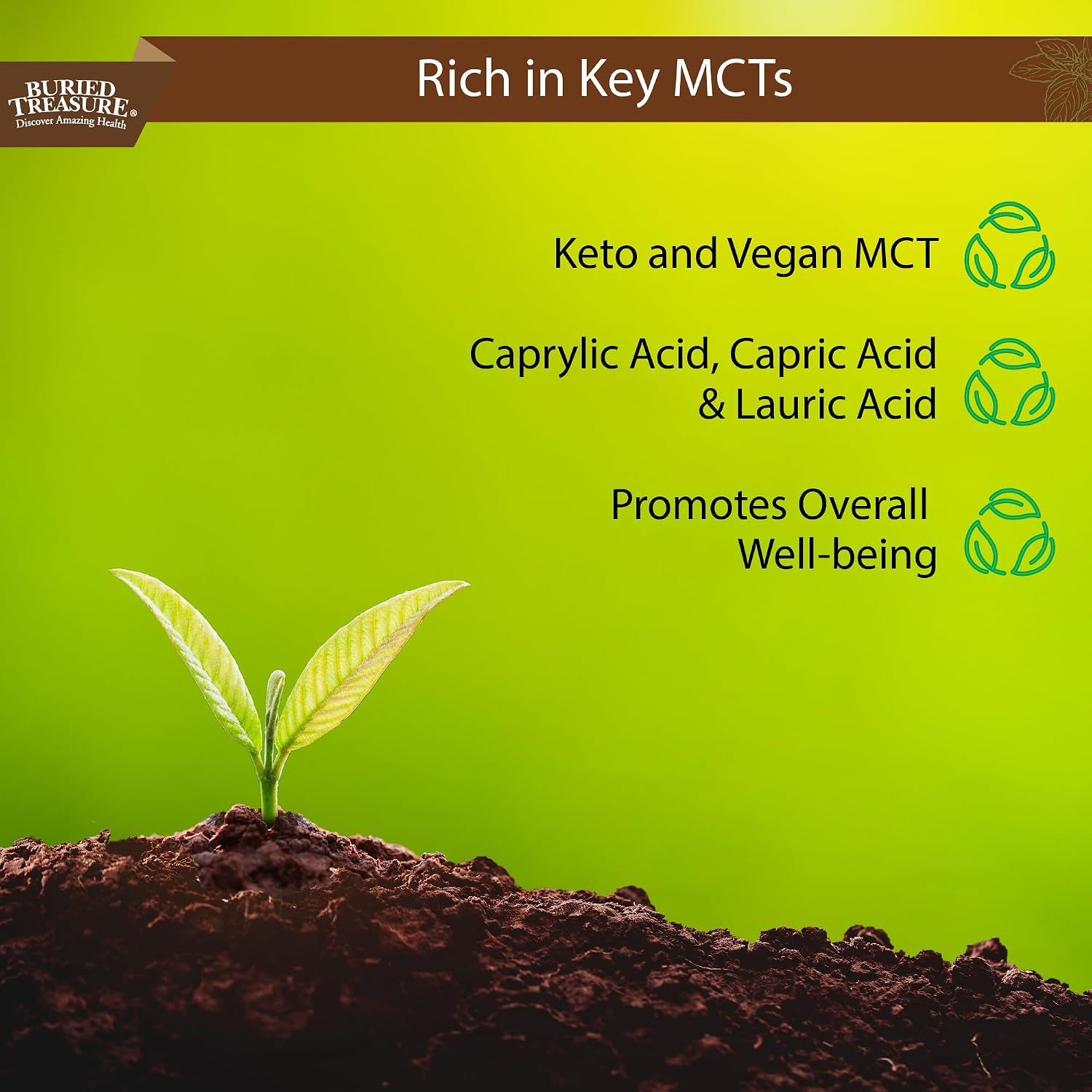 Buried Treasure MCT Coconut Oil, 16.54 Fl Oz (Pack of 1)