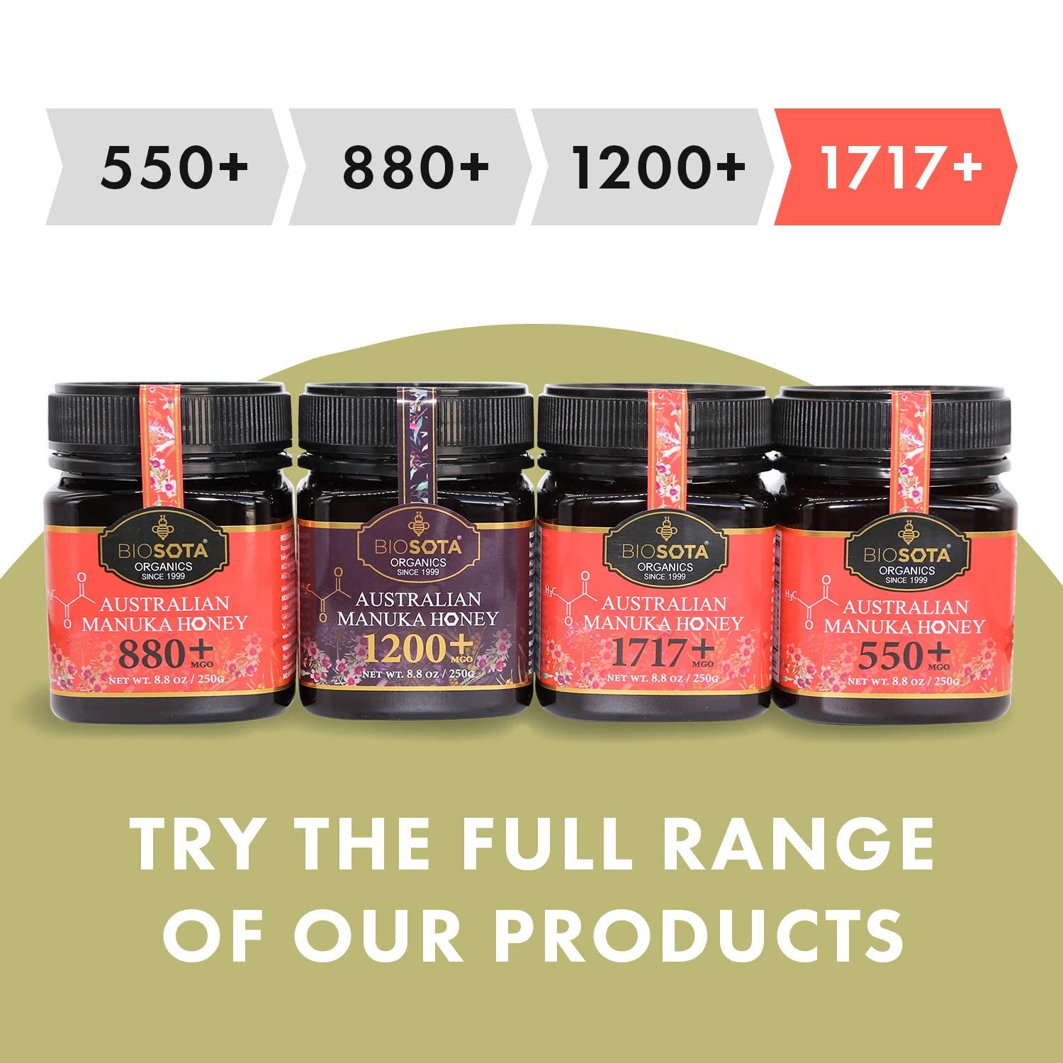 BIOSOTA Organic Manuka Honey MGO 1717+ - Medical Grade Manuka Honey from Australia NPA/ULF 31+, 100% Raw Unheated Pure Honey, 8.8oz (1717+)