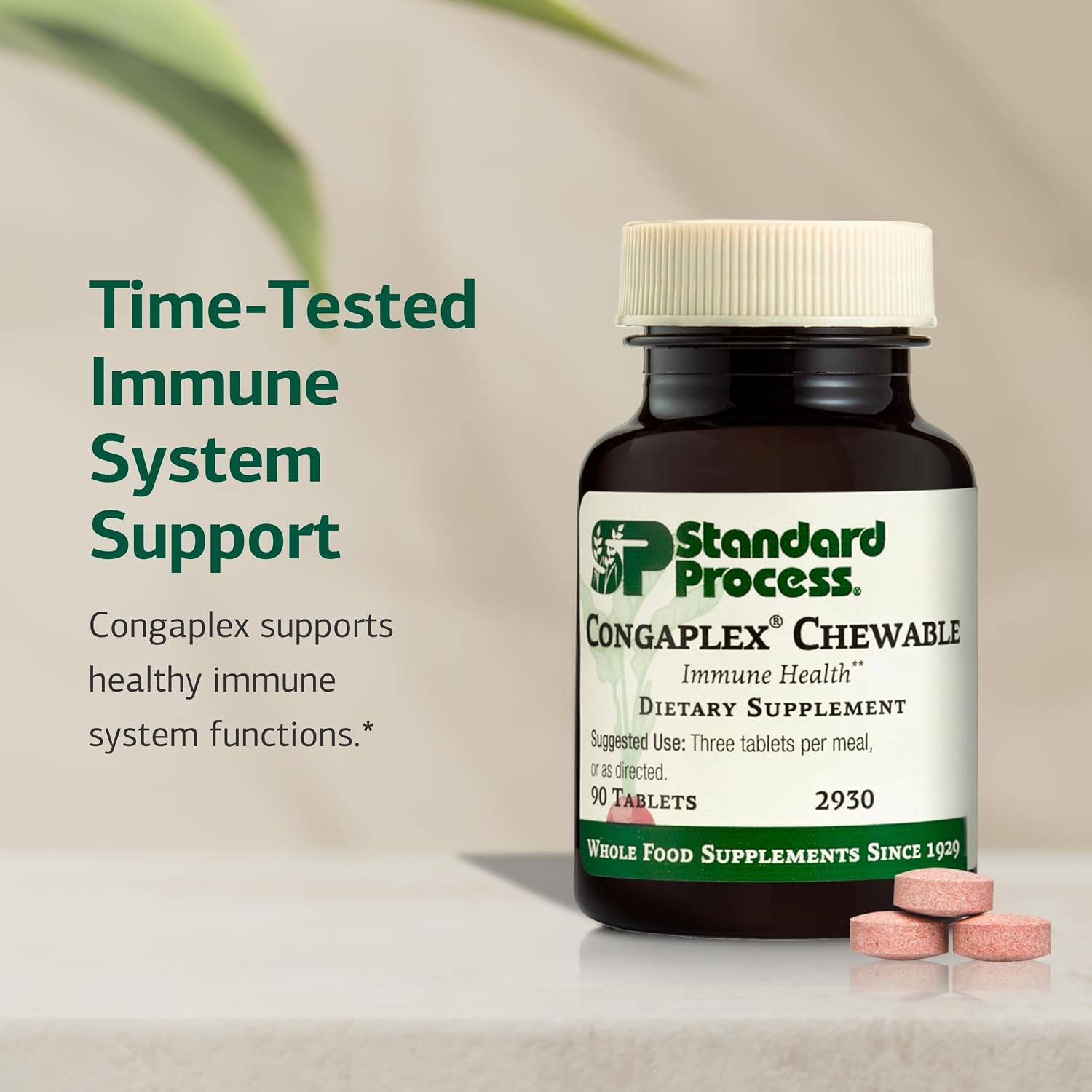 Standard Process Congaplex Chewable - Supplement for Immune System Support with Vitamin A - Supports Thymus Gland & Protein Synthesis - Non-Dairy &