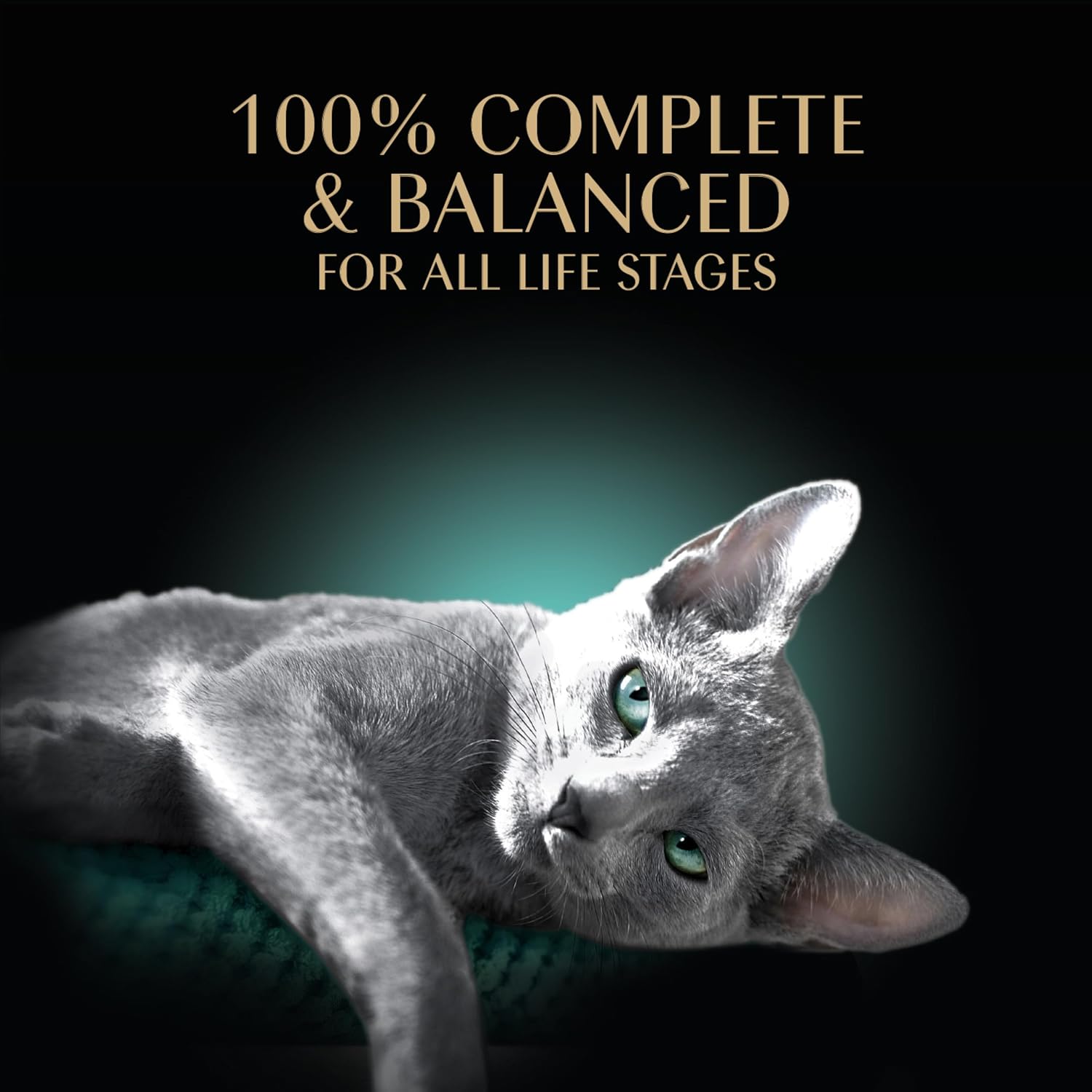 Sheba Perfect Portions Pate Wet Cat Food, Seafood Pack, 2.6 oz, 12 ct, 2pk | Grain-free, made in USA, Salmon & Whitefish-Tuna, 48 servings total, sustainable seafood, twin-pack trays
