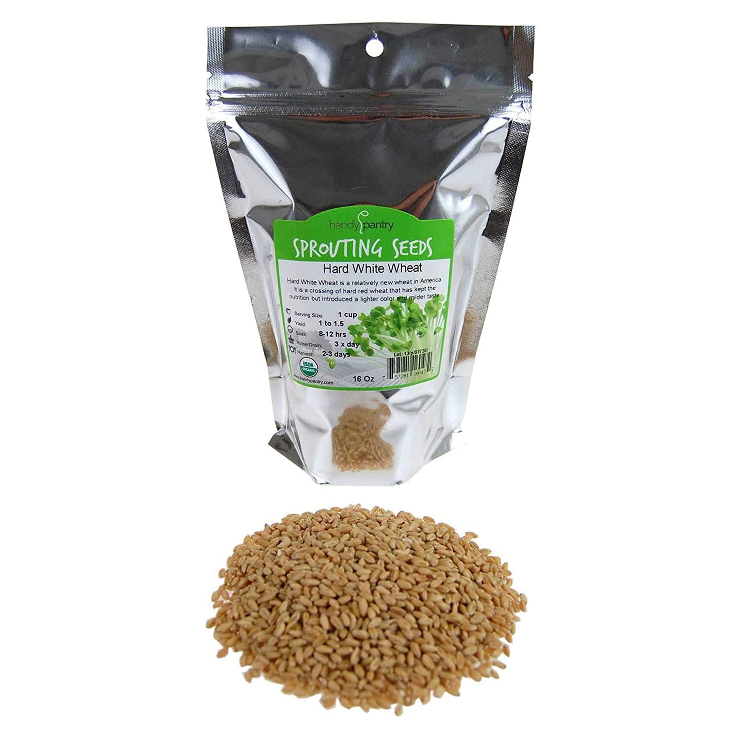 Handy Pantry Organic Whole Wheat Kernels Hard White Wheat Grain 1Lb Non-GMO | Heirloom Wheat Seeds for Hard White Wheat Berry Seeds for Sprouting Organic Wheatgrass Wheat Berry Bread Winter Wheat Seed