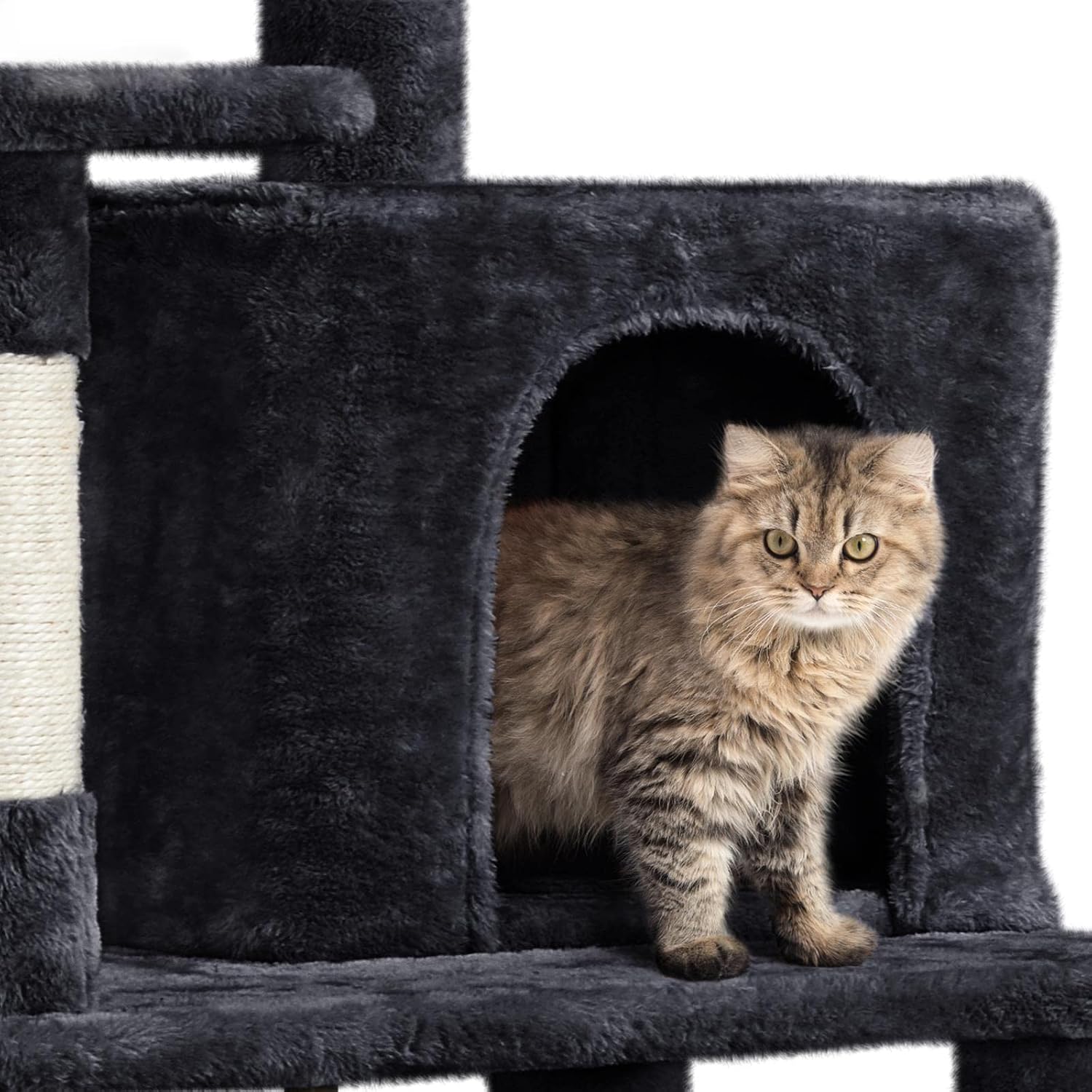 Yaheetech 63in Sturdy Large Cat Tree for Indoor Heavy Cats, Tall Tower