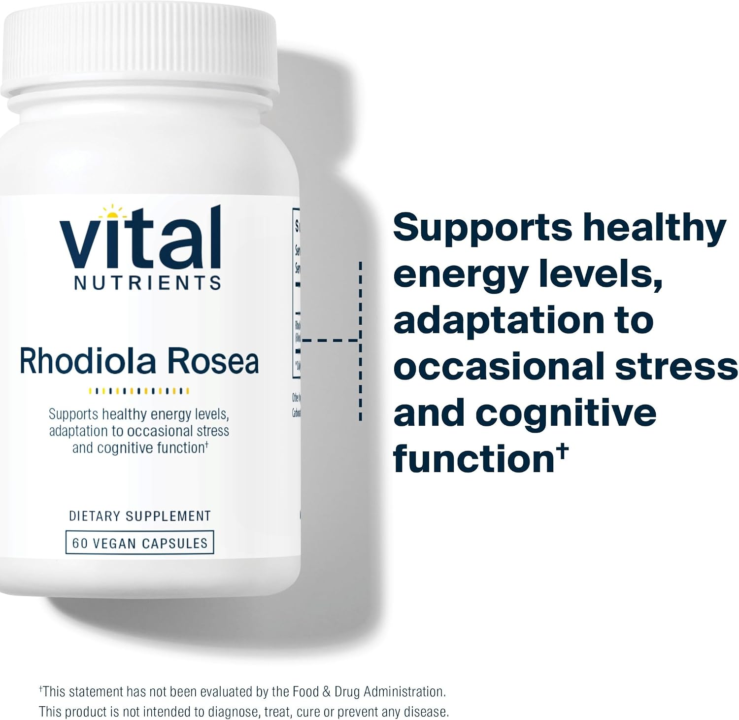 Vital Nutrients Rhodiola Rosea - Rhodiola Supplement for Healthy Energy, Memory, and Stress Support - Gluten, Dairy, Soy Free - Non-GMO - 60 Capsules