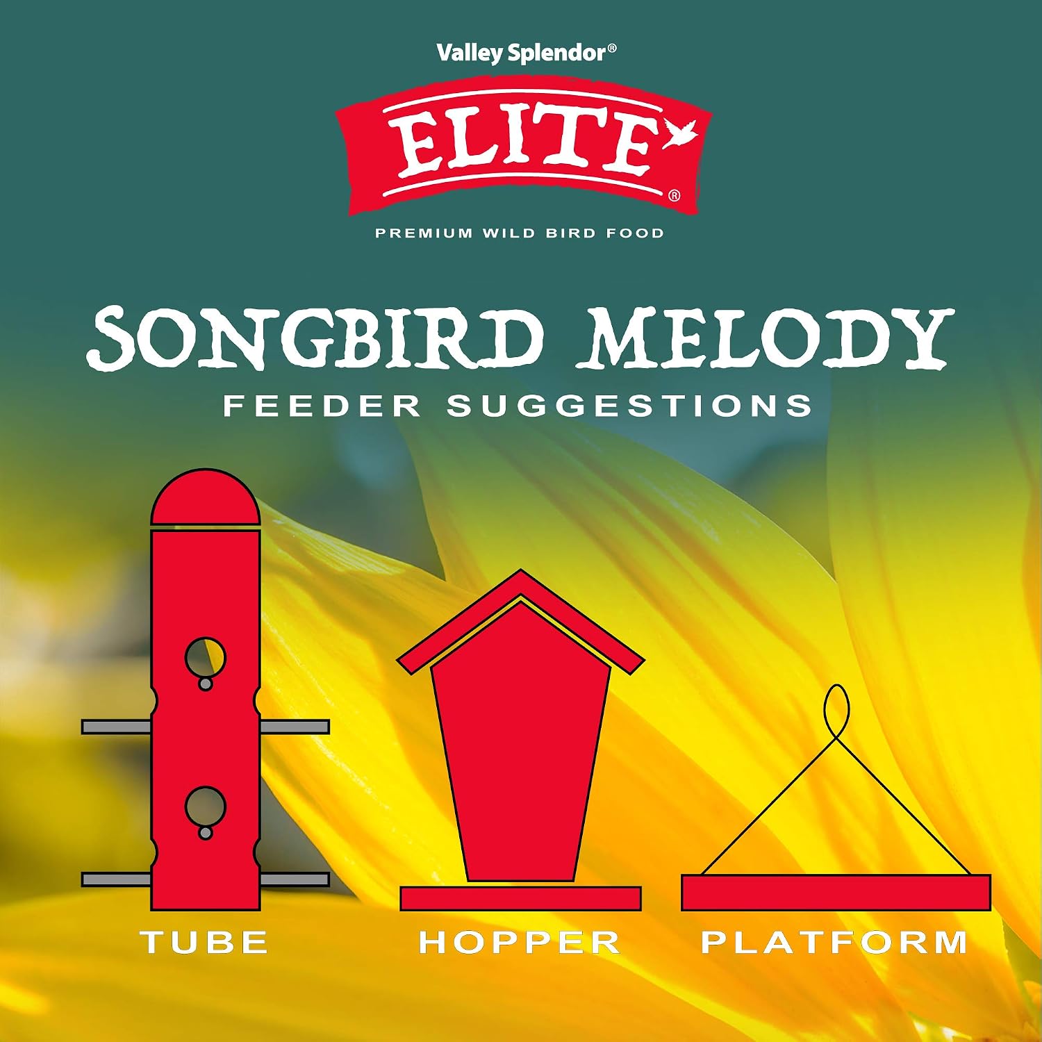 Songbird Melody