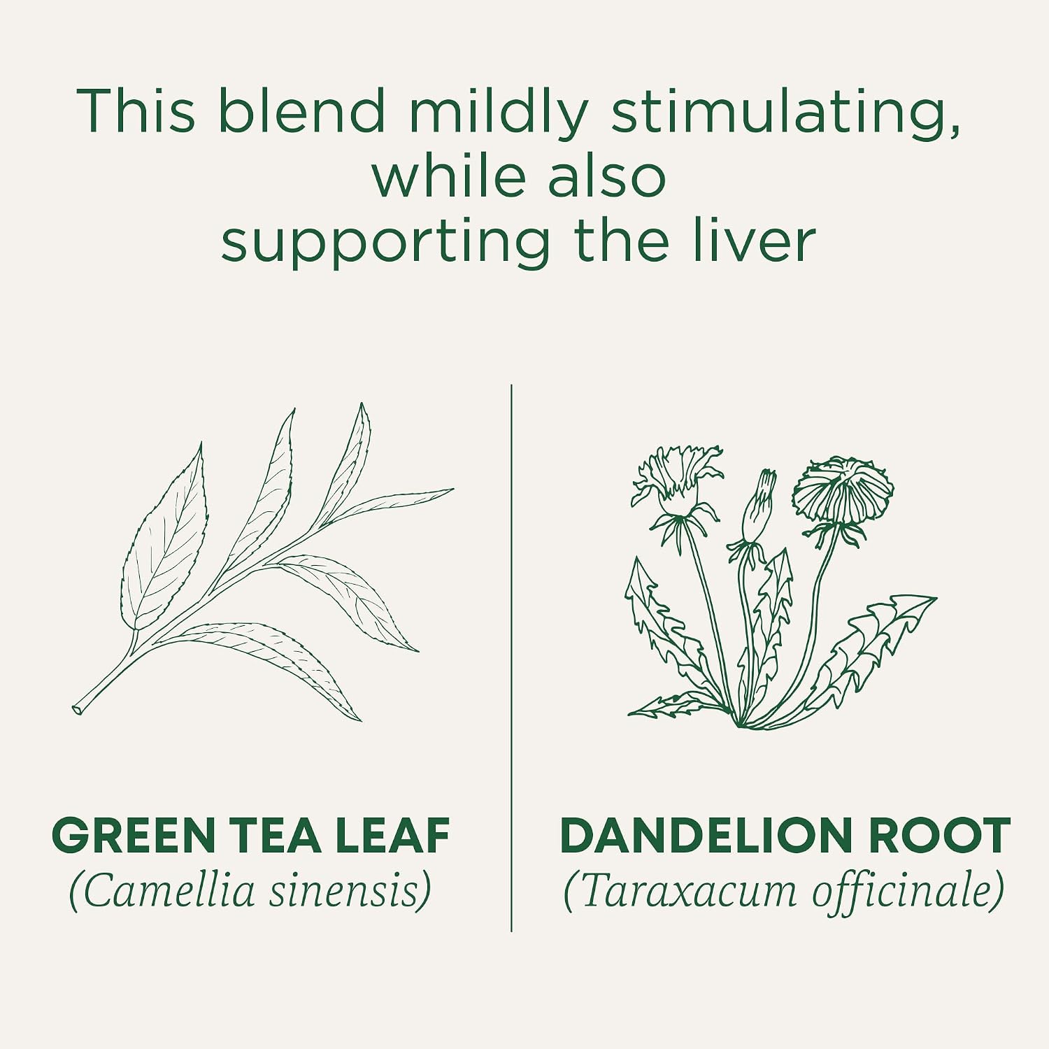 Traditional Medicinals Organic Green Tea Ginger, 16 Tea Bags | Promotes Healthy Digestion, Occasional Nausea & Indigestion Relief, Kosher, Non-GMO