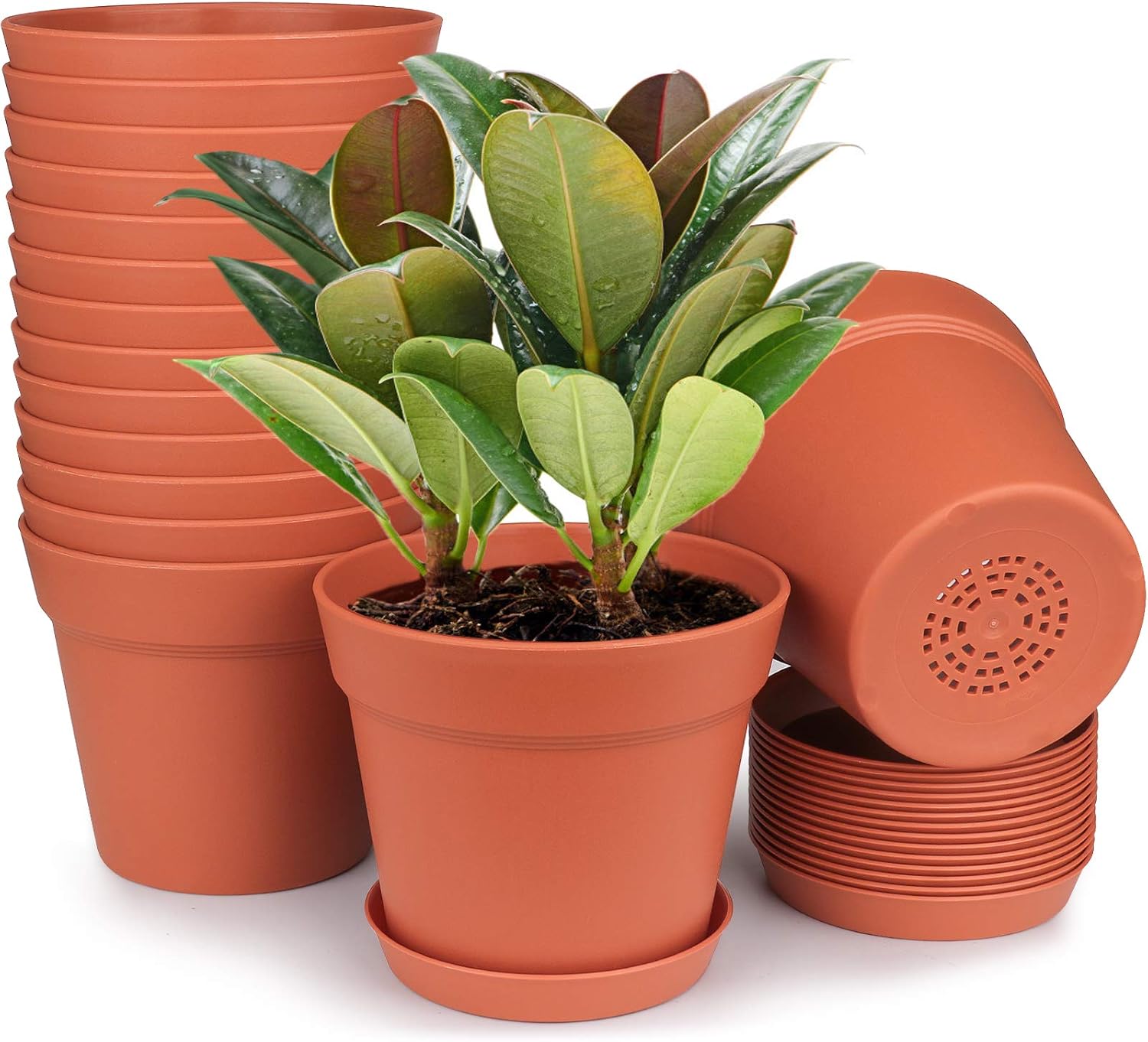 homenote 7.5 Inch Plastic Flower Pots with Drainage Holes and Trays (8 Pcs)