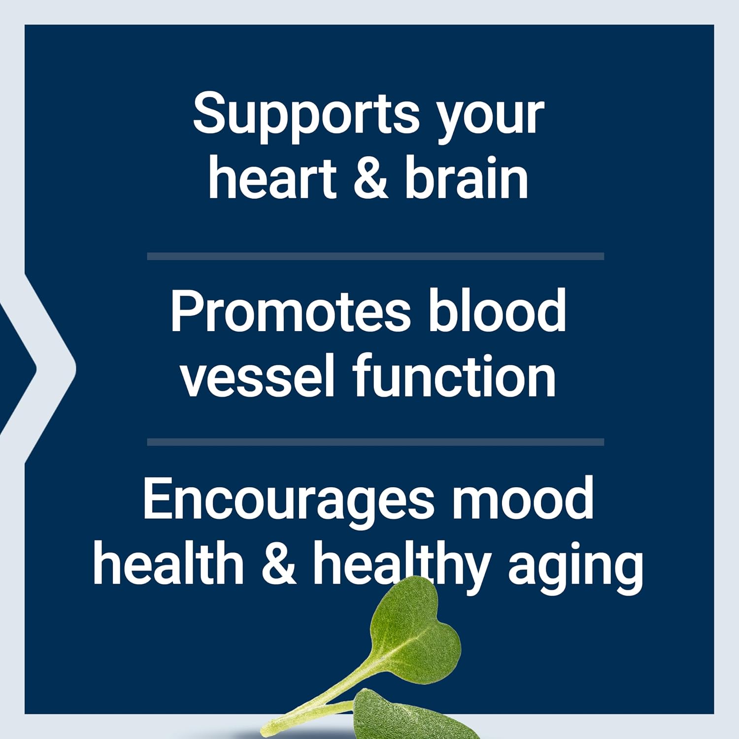 Life Extension Super Omega-3 EPA/DHA Fish Oil, Sesame Lignans & Olive Extract – Heart Health, Brain Health, Inflammation Health Support, Gluten-Free, Easy to Swallow, Non-GMO, 240 Softgels