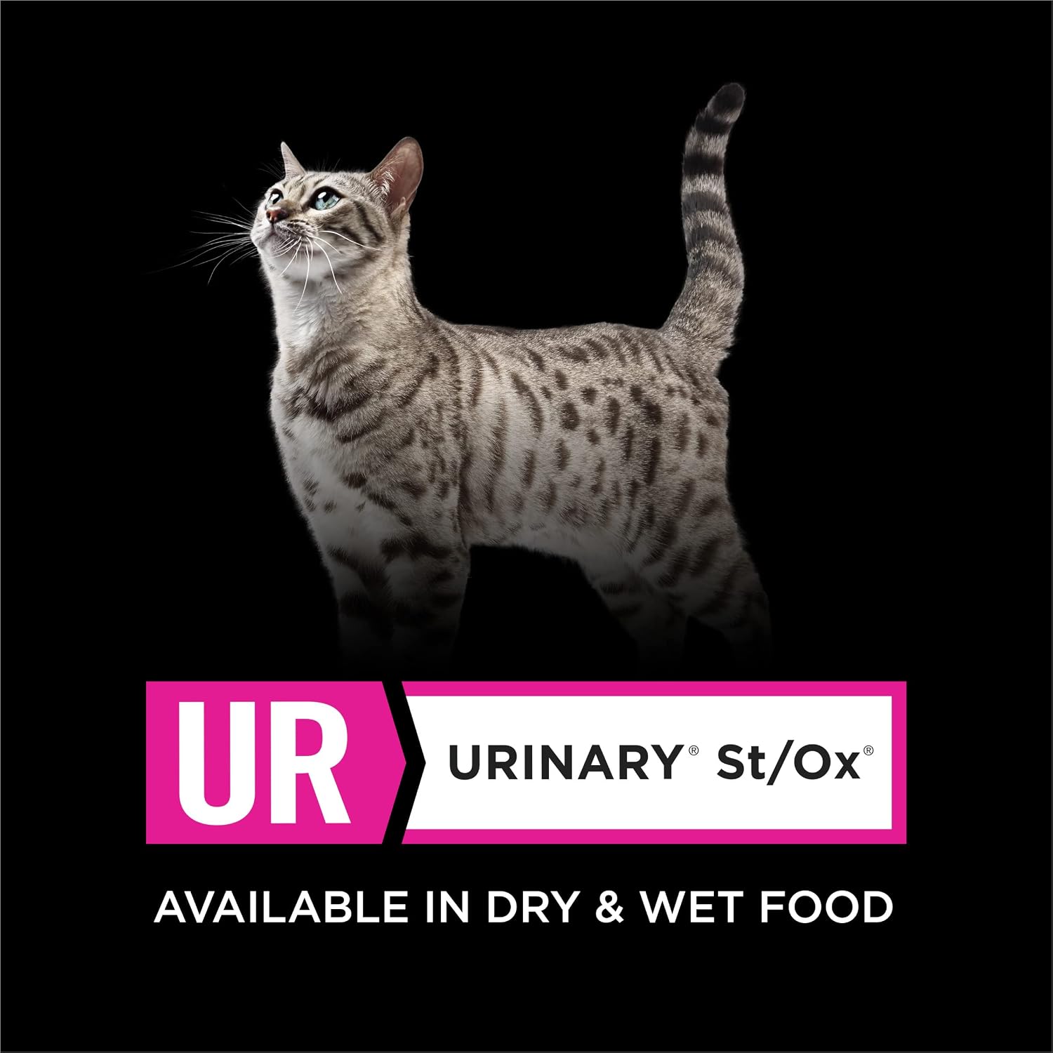 Pro Plan Veterinary Diets Purina UR Urinary St/Ox Feline Formula Dry Cat Food - 6 lb. Bag