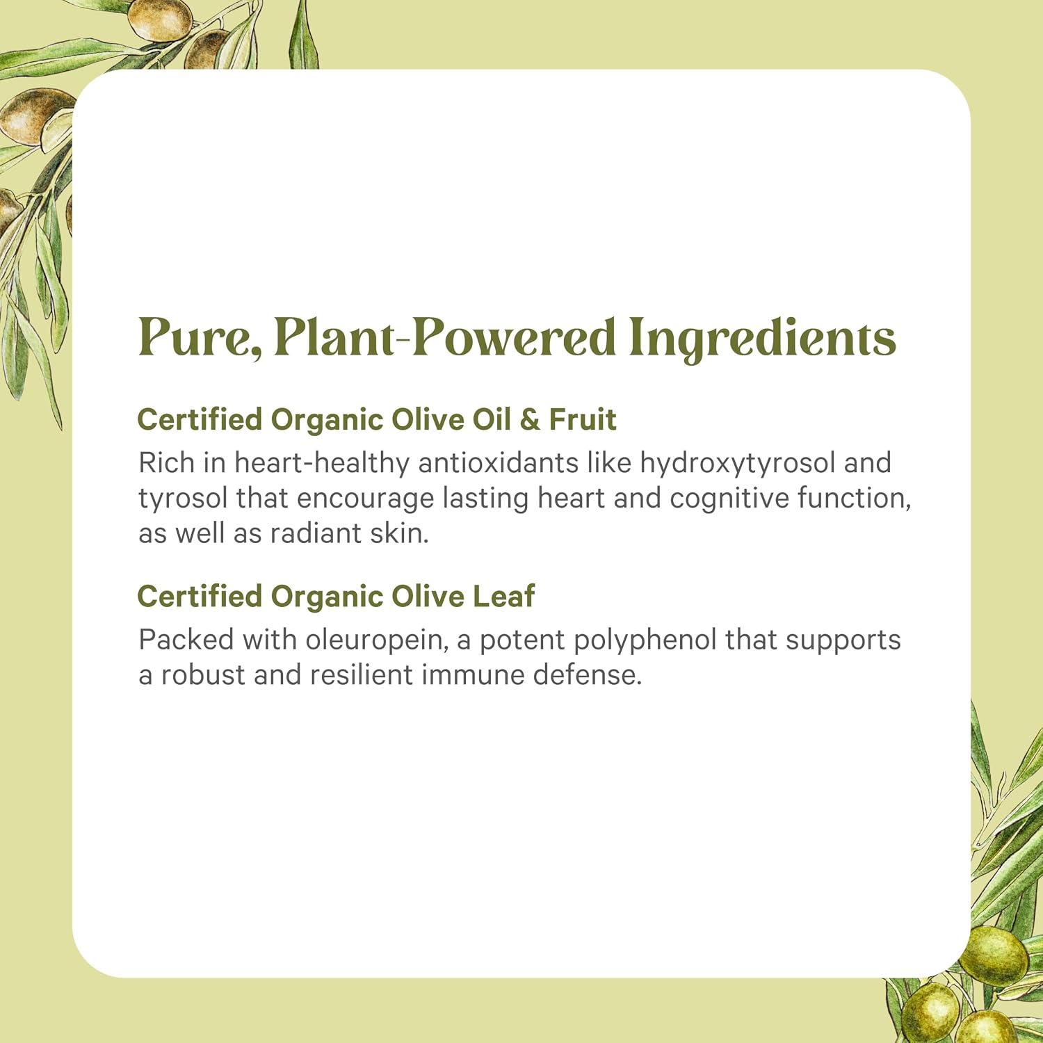 PURE SYNERGY SuperPure Olive Extract | Organic Olive Leaf, Oil, and Fruit Supplement with Polyphenols | for Heart, Brain