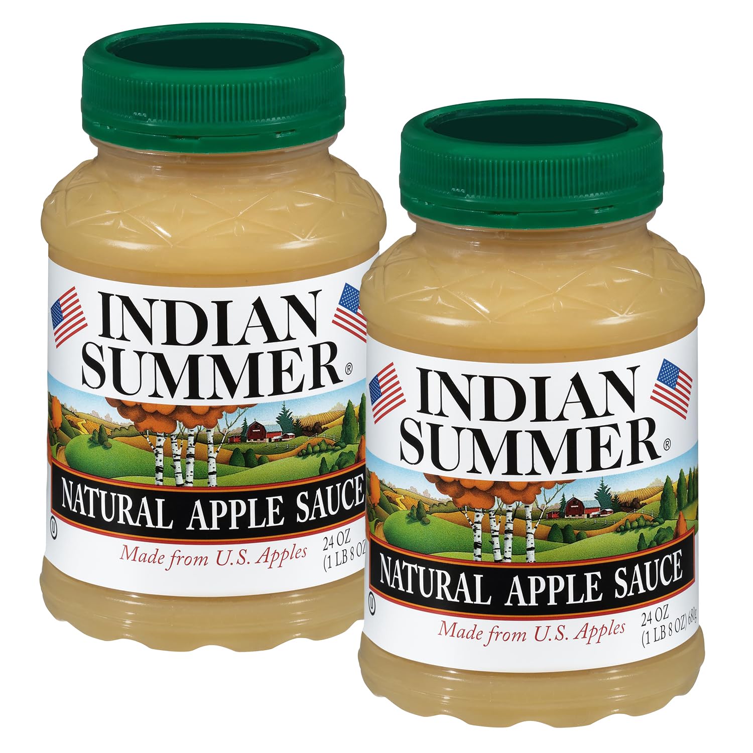 Indian Summer Chunky Peach Applesauce, 23 Ounce (Pack of 6), Made in USA
