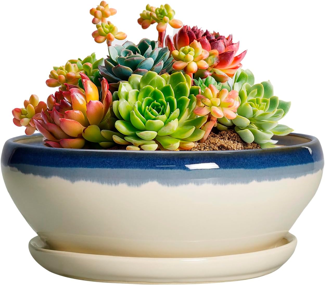 SQOWL 7 Inch Round Ceramic Succulent Planter Pot Drip Glazed Shallow Planter with Drainage Bamboo Tray for Indoor Plants