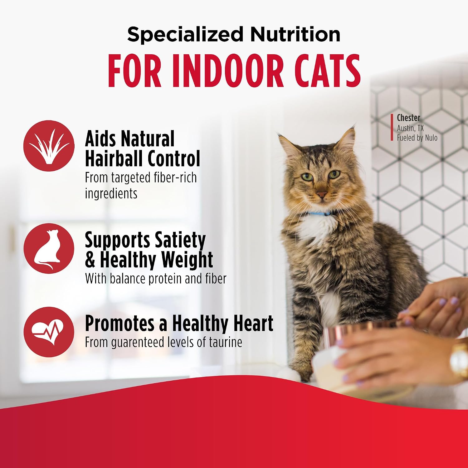 Nulo FreeStyle Dry Cat Food Indoor - Duck & Cod, High Protein Grain-Free Dry Cat Food, Natural Kibble with Probiotics and Omegas Fatty Acids, 4lb Bag