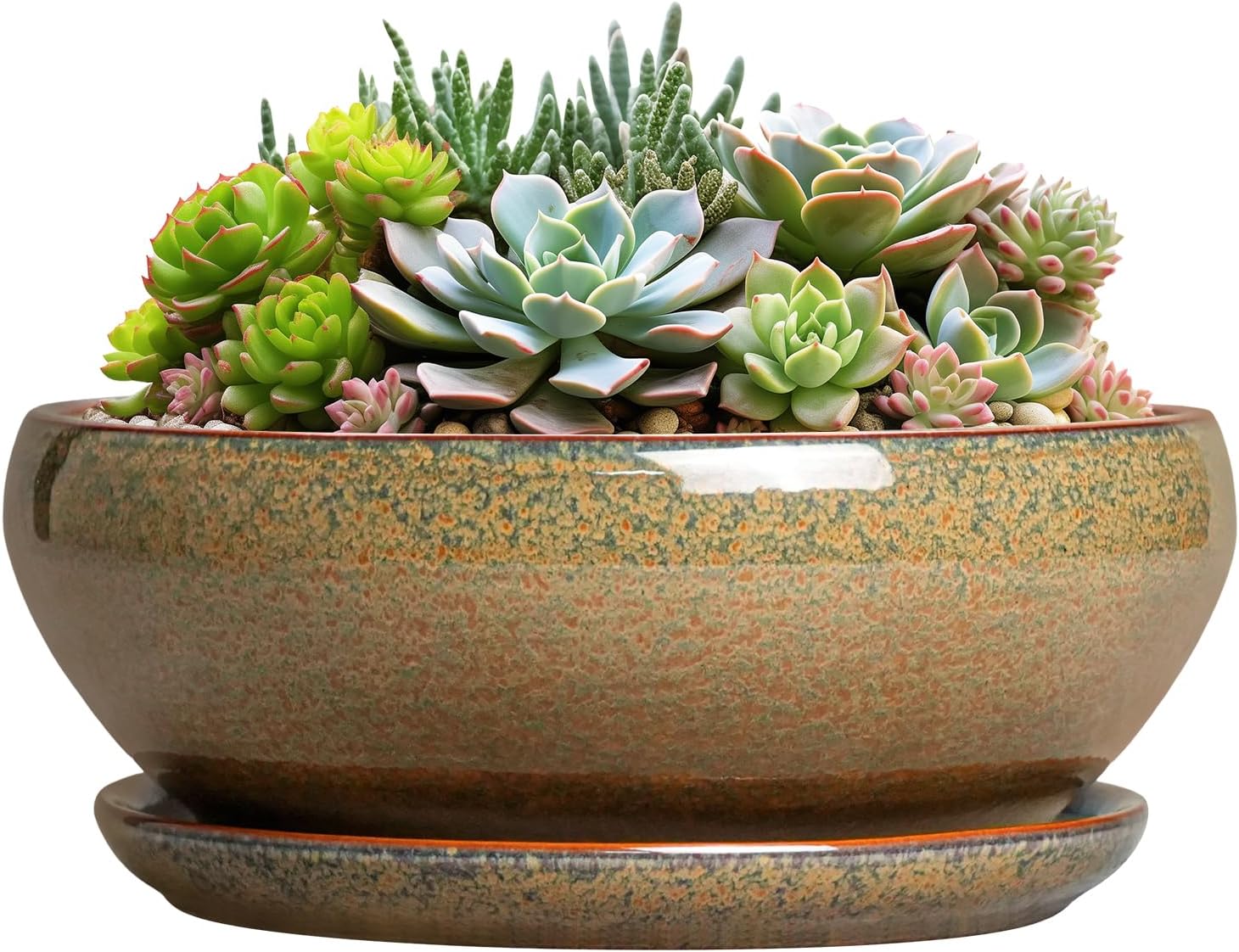 SQOWL 7 Inch Round Ceramic Succulent Planter Pot Drip Glazed Shallow Planter with Drainage Bamboo Tray for Indoor Plants