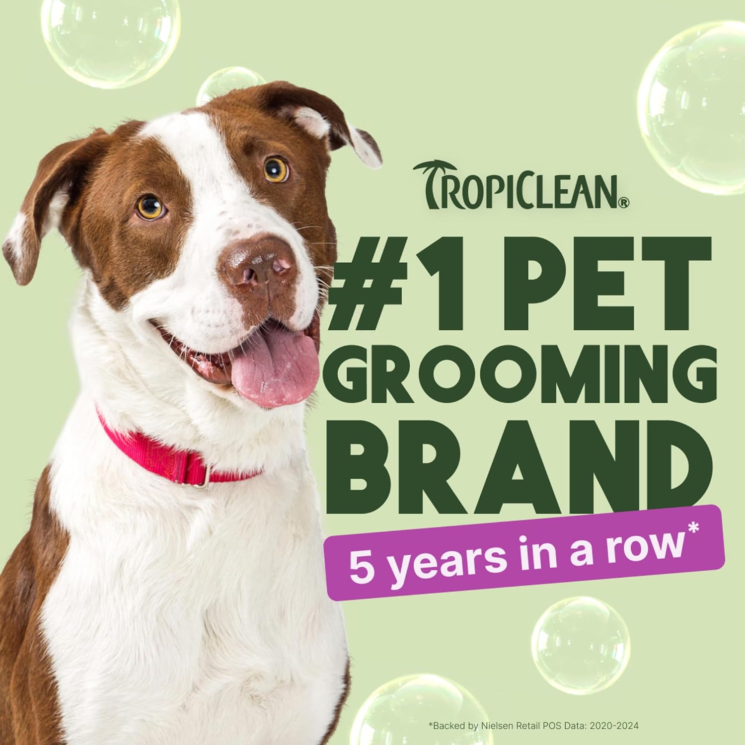 TropiClean High Concentrate Dog Shampoo, Professional Grade & Size for Groomers, 42:1 Dilution, Puppy Safe, USA Made, Pure Plum Scent, 1 Gallon