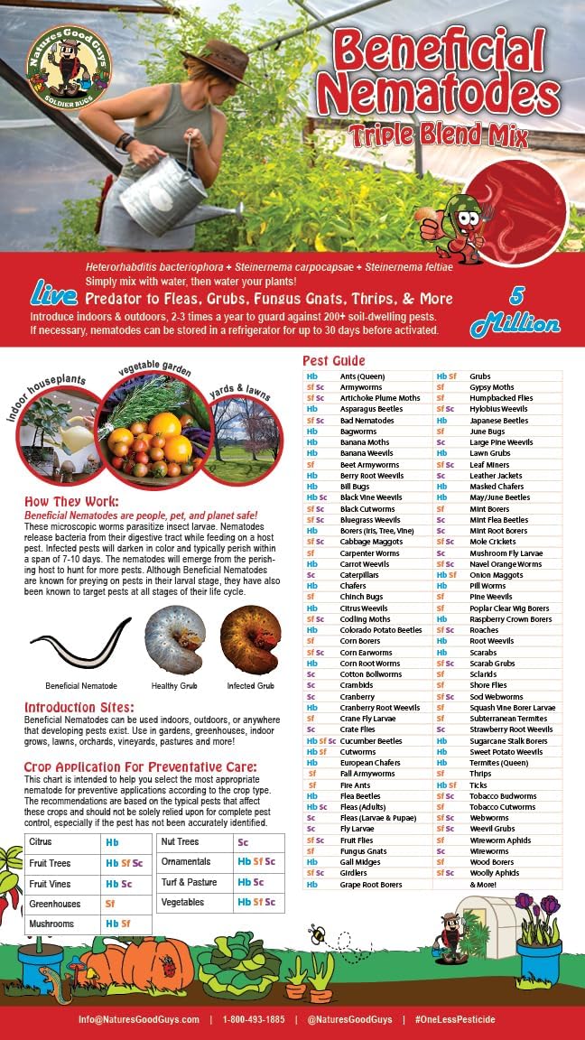 Live Beneficial Nematodes - 15 Million Hb+Sc+Sf - Kills Over 200 Different Species of Soil Dwelling and Wood Boring Insects.