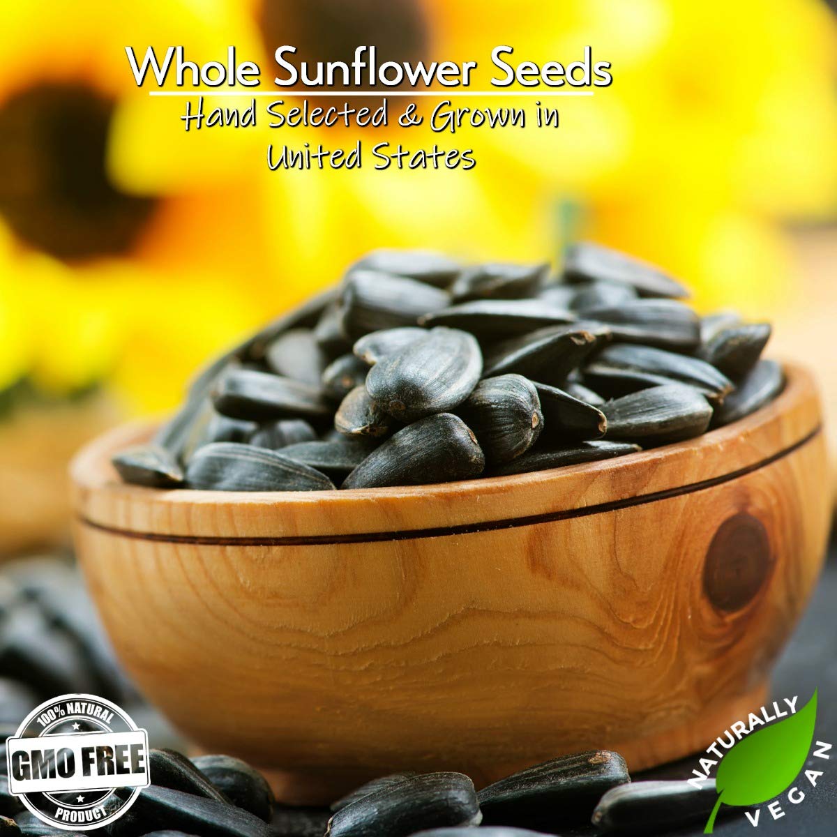 Lightly Sea Salted Sunflower Seed in Shell by Gerbs - 2 LBS - Top 11 Food Allergen Free & Non GMO - Premium Dry Roasted Seeds – COG USA | Small Batch, No Artificial Additives, Resealable Bag | Crack-and-Eat Crunchy Snack | Top 14 Allergen-Free