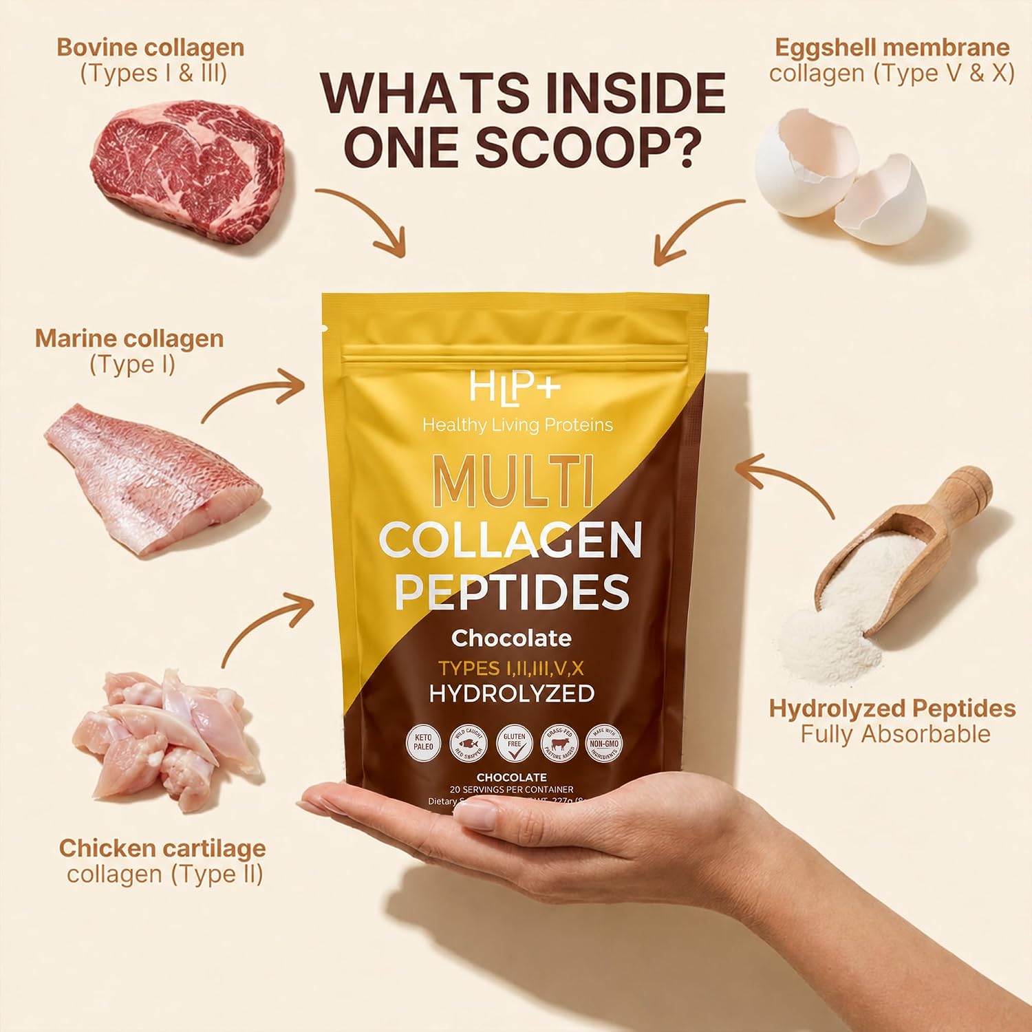 Healthy Living Proteins | Multi Hydrolyzed Collagen Peptides Type I, II, III, V, & X | Grass Fed Bovine, Wild Caught Marine, Free Range Chicken | Gluten Free (Unflavored, 1 Pound (Pack of 1))