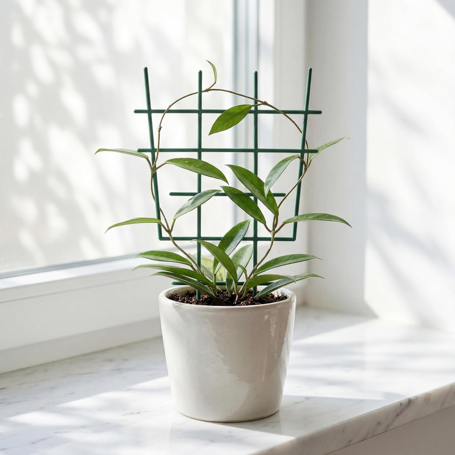 DOITOOL 12 Inch Small Plant Trellis for Potted Plants, 5-Pack