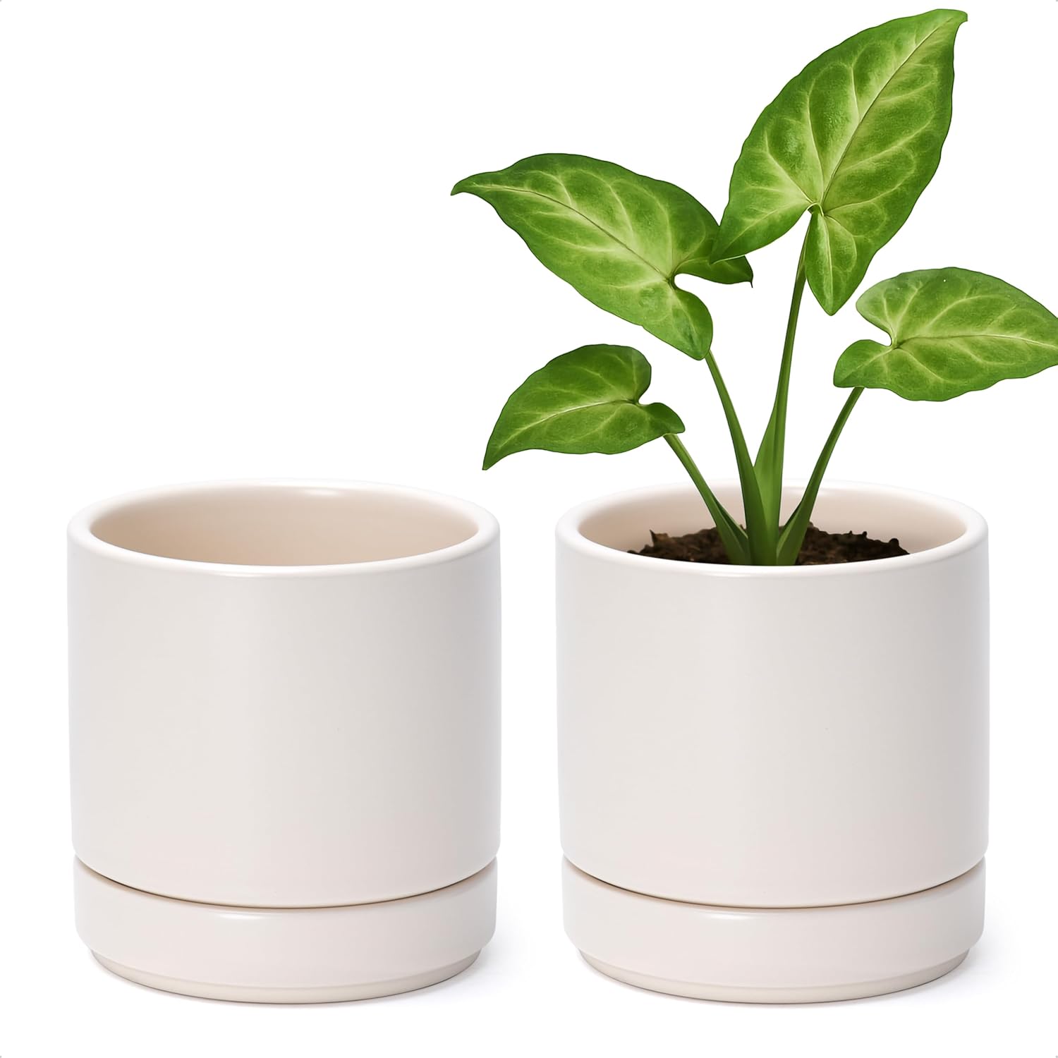 D'vine Dev 2-Pack Ceramic Pots with Saucers, White/Grey, 4.7 in, 94-V-B-6