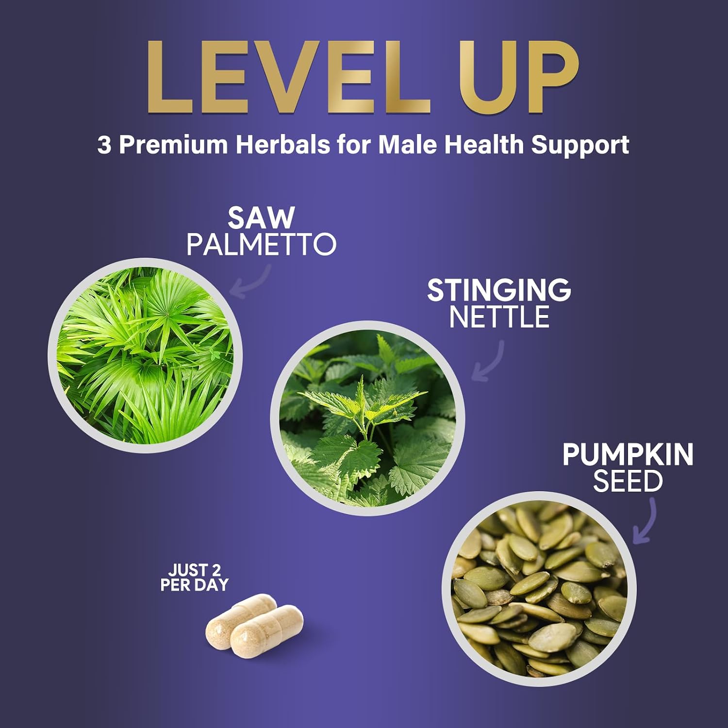 Prostate Health Supplements for Men - 3X Strength with Saw Palmetto Blend Stinging Nettle Root & Pumpkin Seed Support Complex - Supports Bathroom Trips Prostate & Urinary Health - 60 Capsules