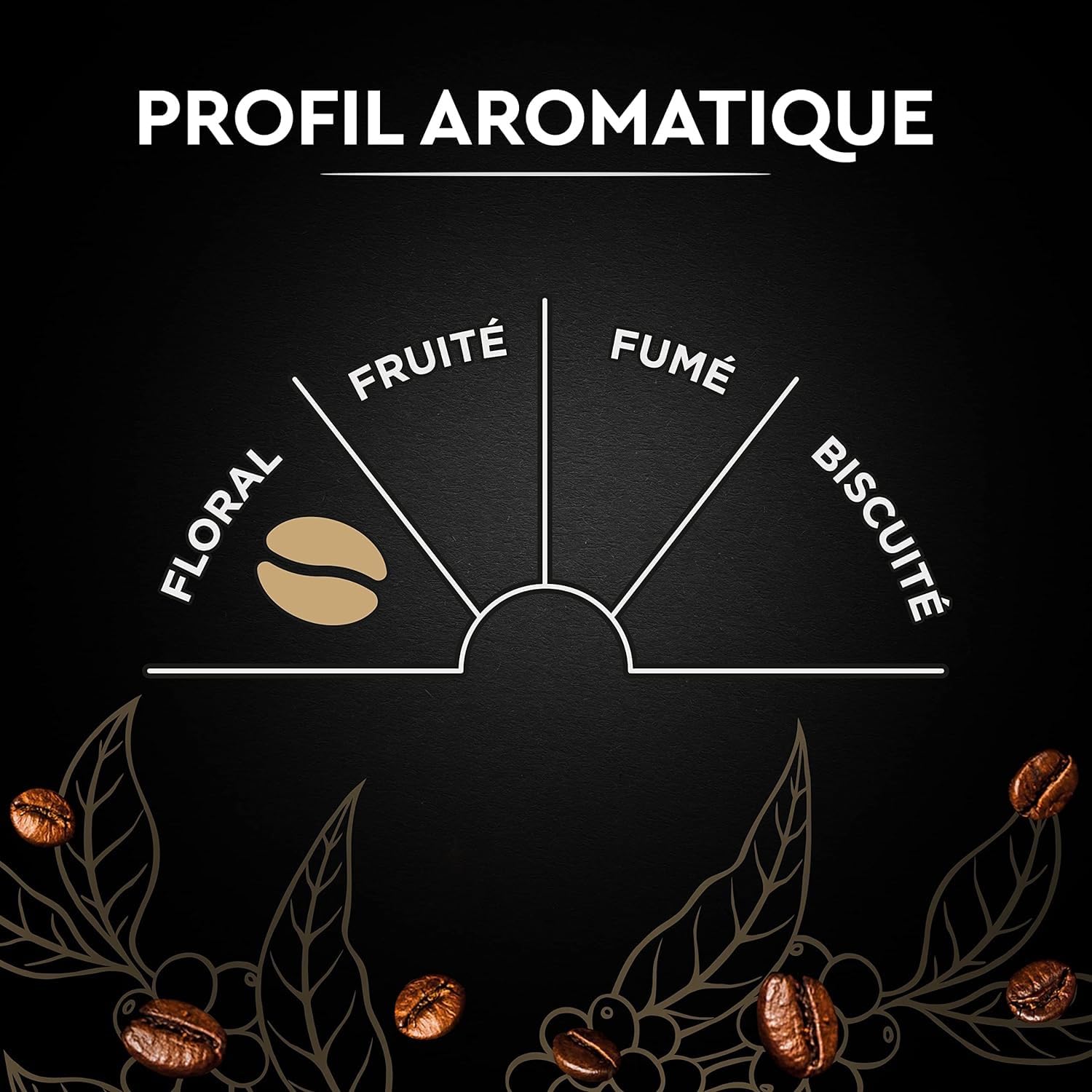 Coffee Carte Noire Authentic Imported French Gourmet Coffee 225GR