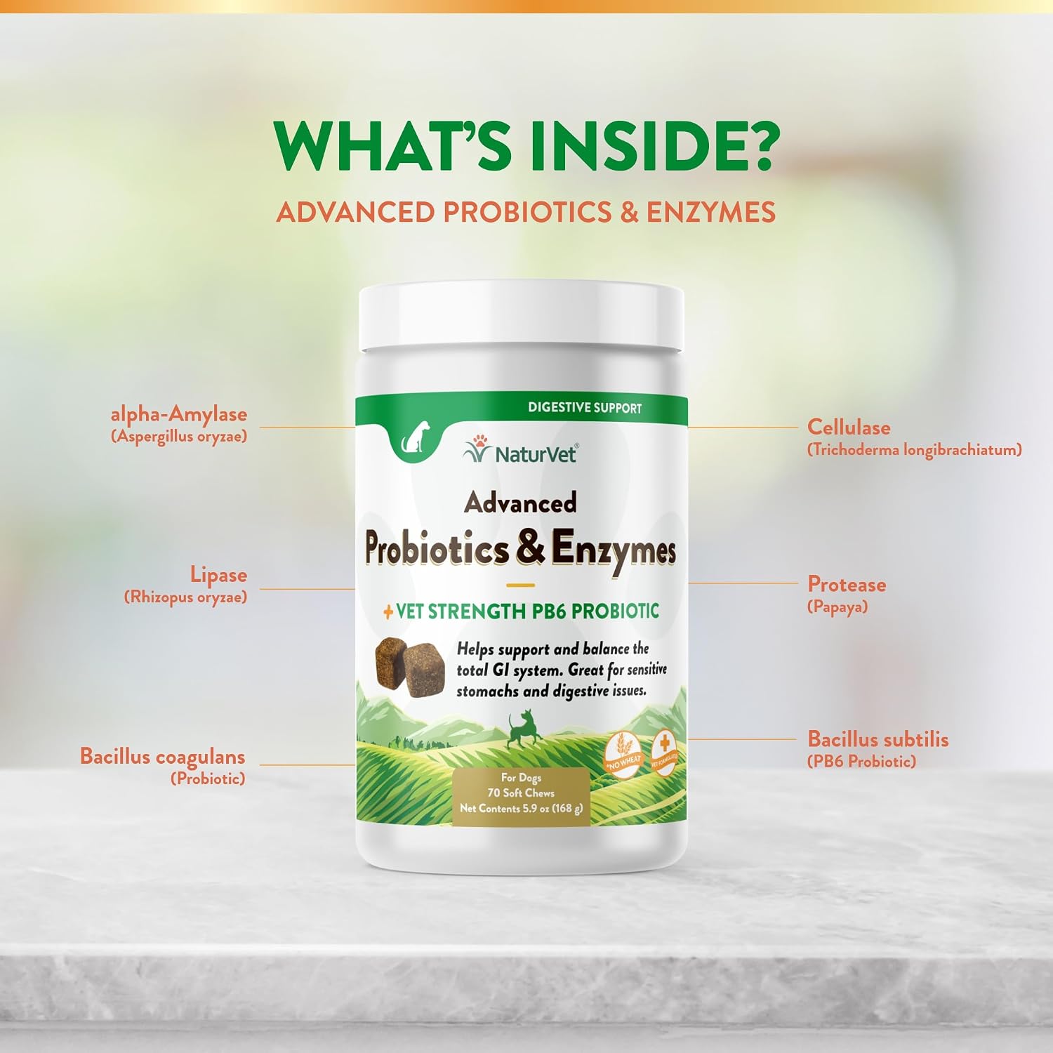 NaturVet Digestive Enzymes with Pre & Probiotic for Dogs & Cats - 8 oz | Supports Diet Changes & a Healthy Digestive Tract with Prebiotics, Powder