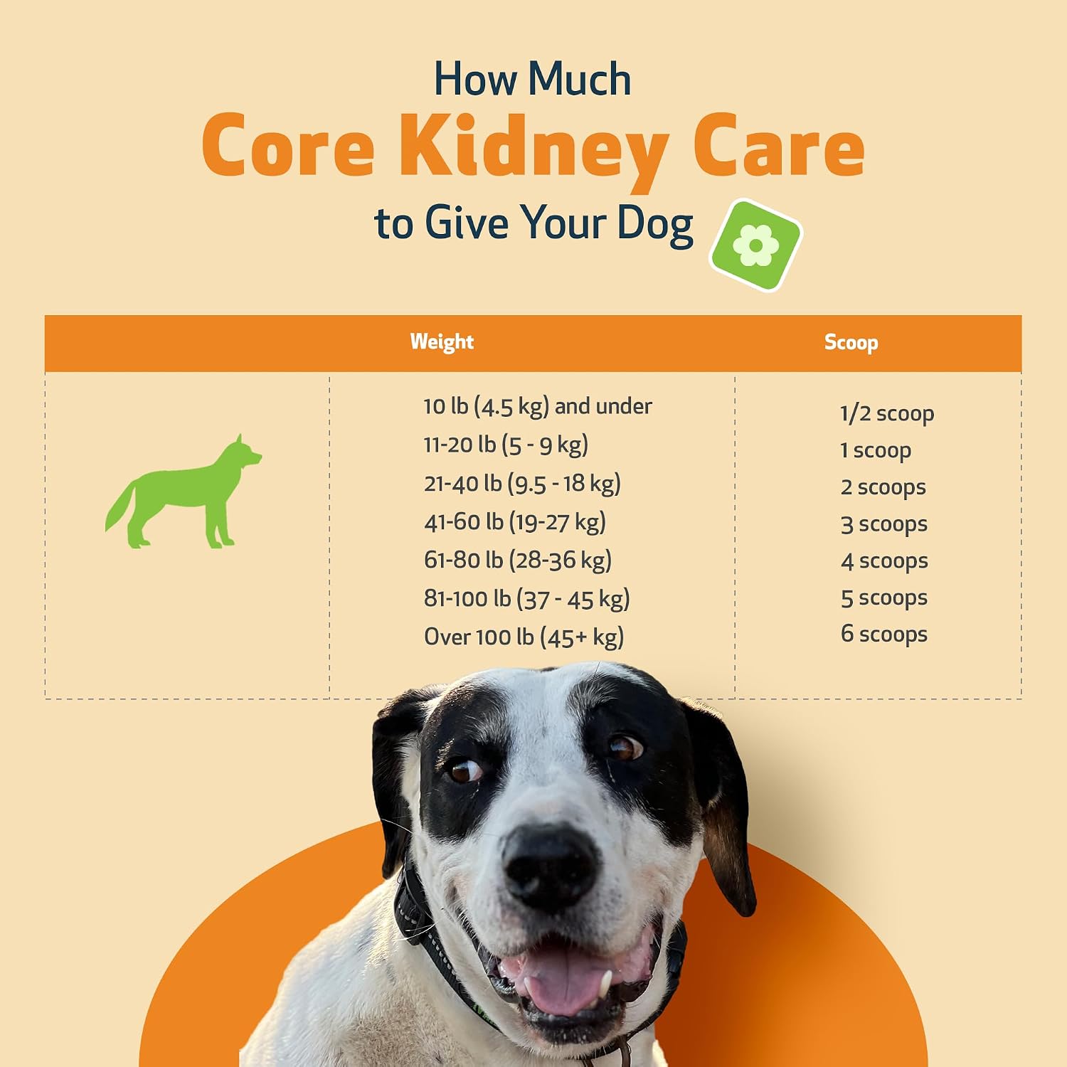 Pet Wellbeing Kidney Support Gold for Dogs - Kidney Care & Hydration, 2 oz