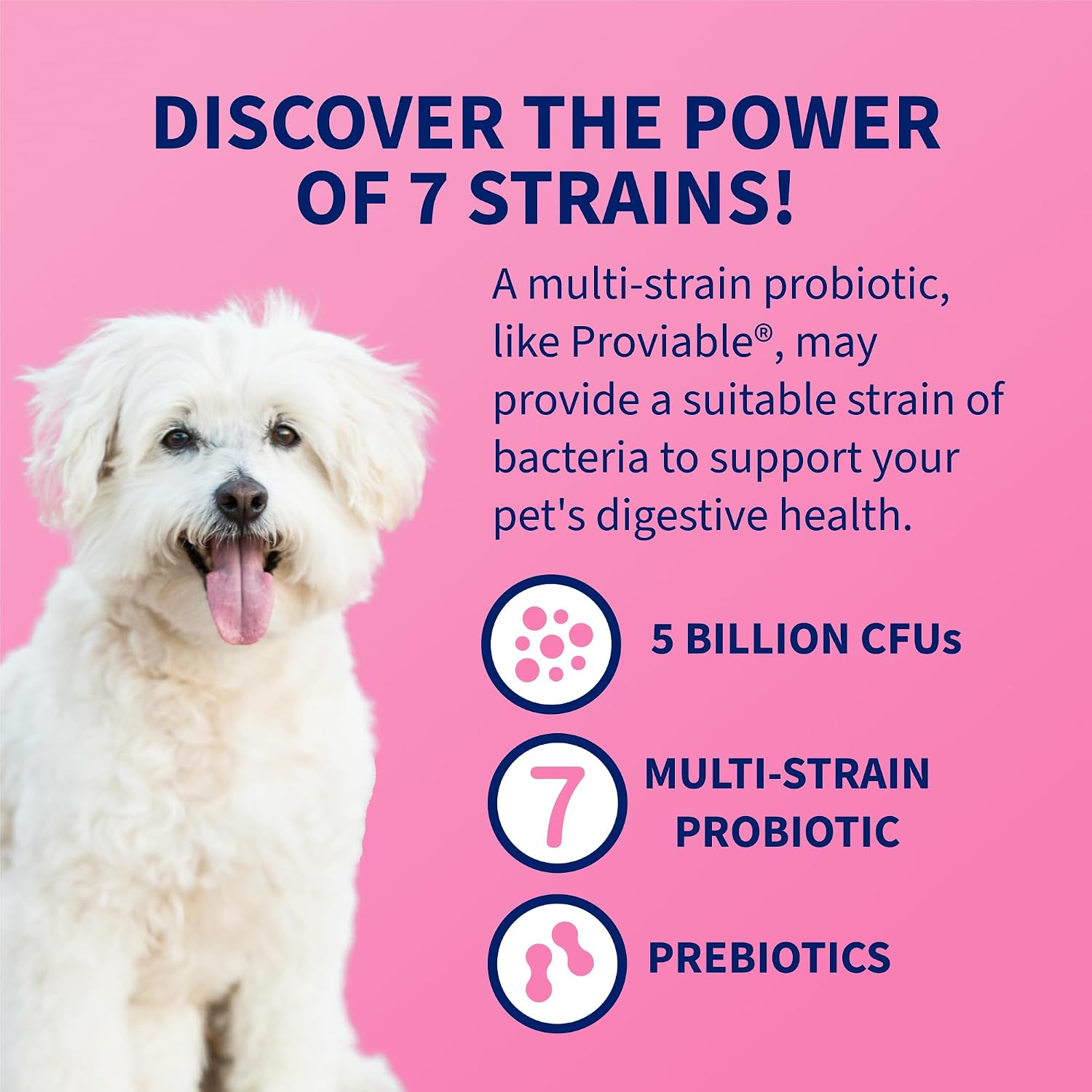 Nutramax Proviable Probiotics + Prebiotics, for Dogs & Cats, Capsules, 80ct | Probiotics and Prebiotics for Cats and Dogs, Daily Gut Health Support Supplement, Multiple Strains, Sprinkle on Food