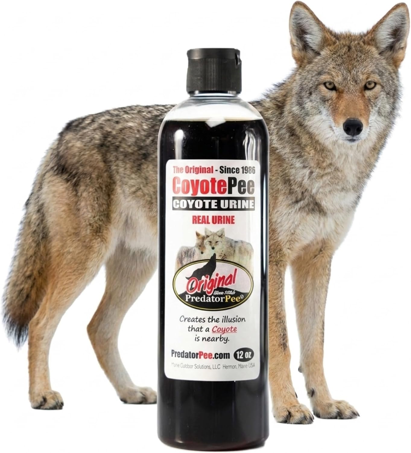 PredatorPee 100% Coyote Urine Natural Predator Scent Made in USA