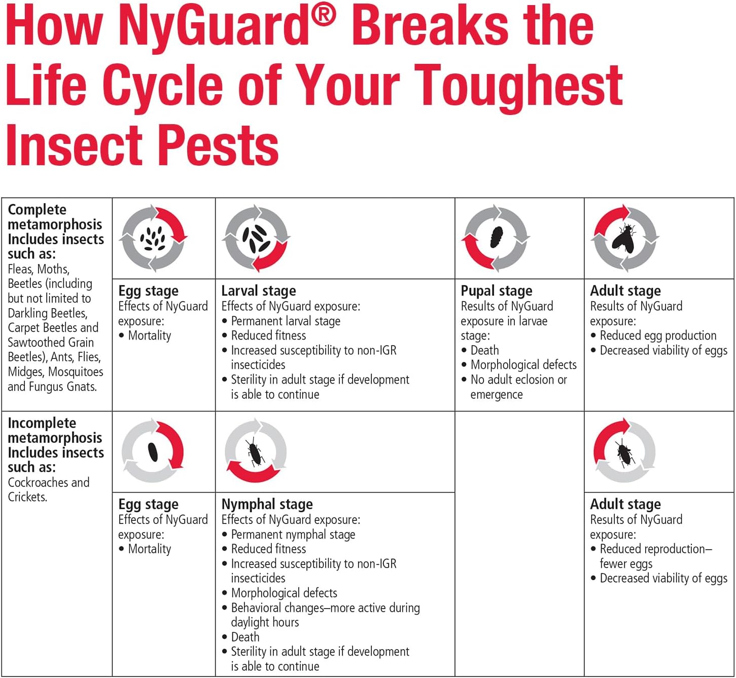 MGK NyGuard IGR Concentrate | Insect Growth Regulator | 140 ML | Break the lifecycle, Cockroach, Flea, Ant, Fly and Mosquito Concentrate, for Indoor/Outdoor Applications