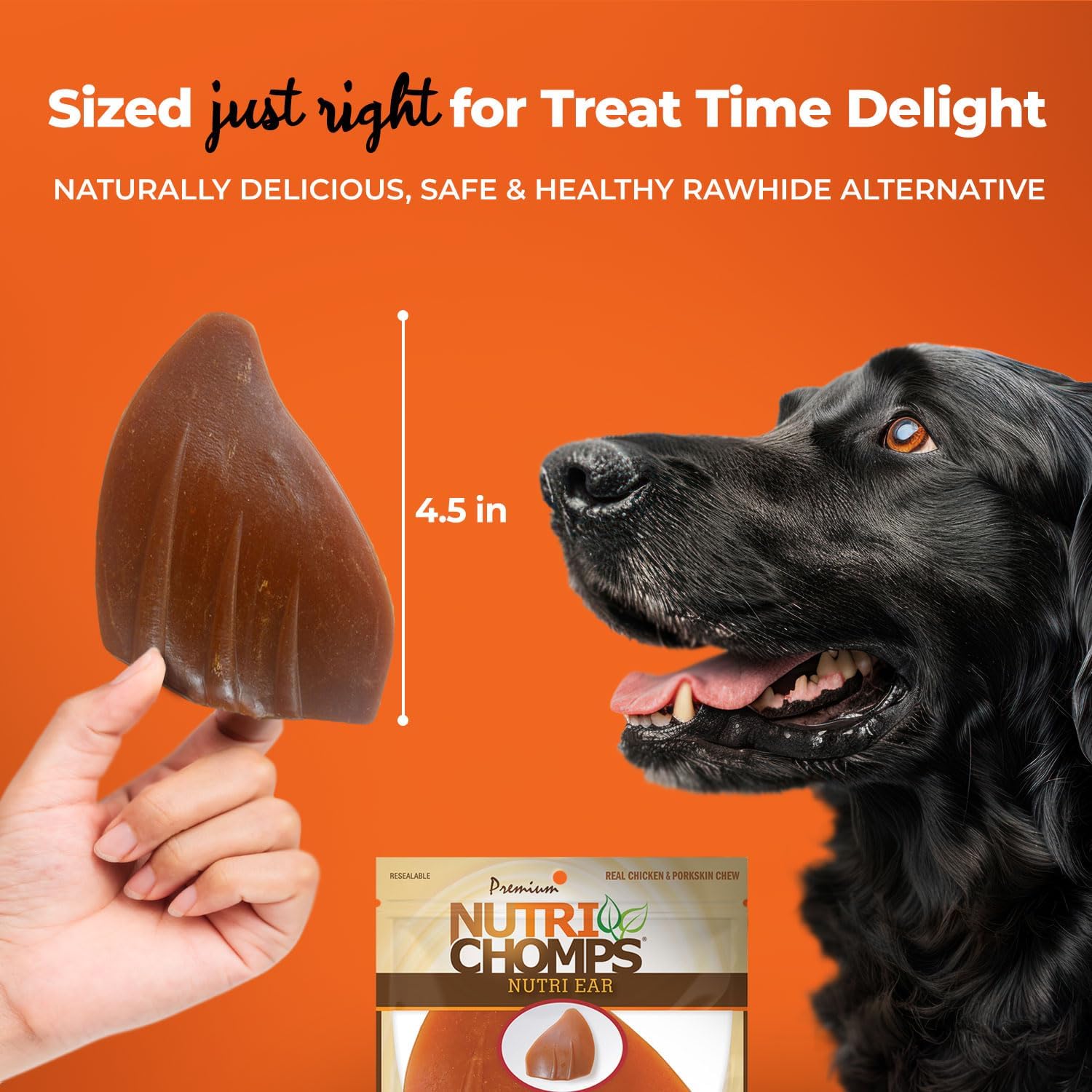 NutriChomps Rawhide-Free Dog Chews, Ear-Shaped, Chicken, 10 Count