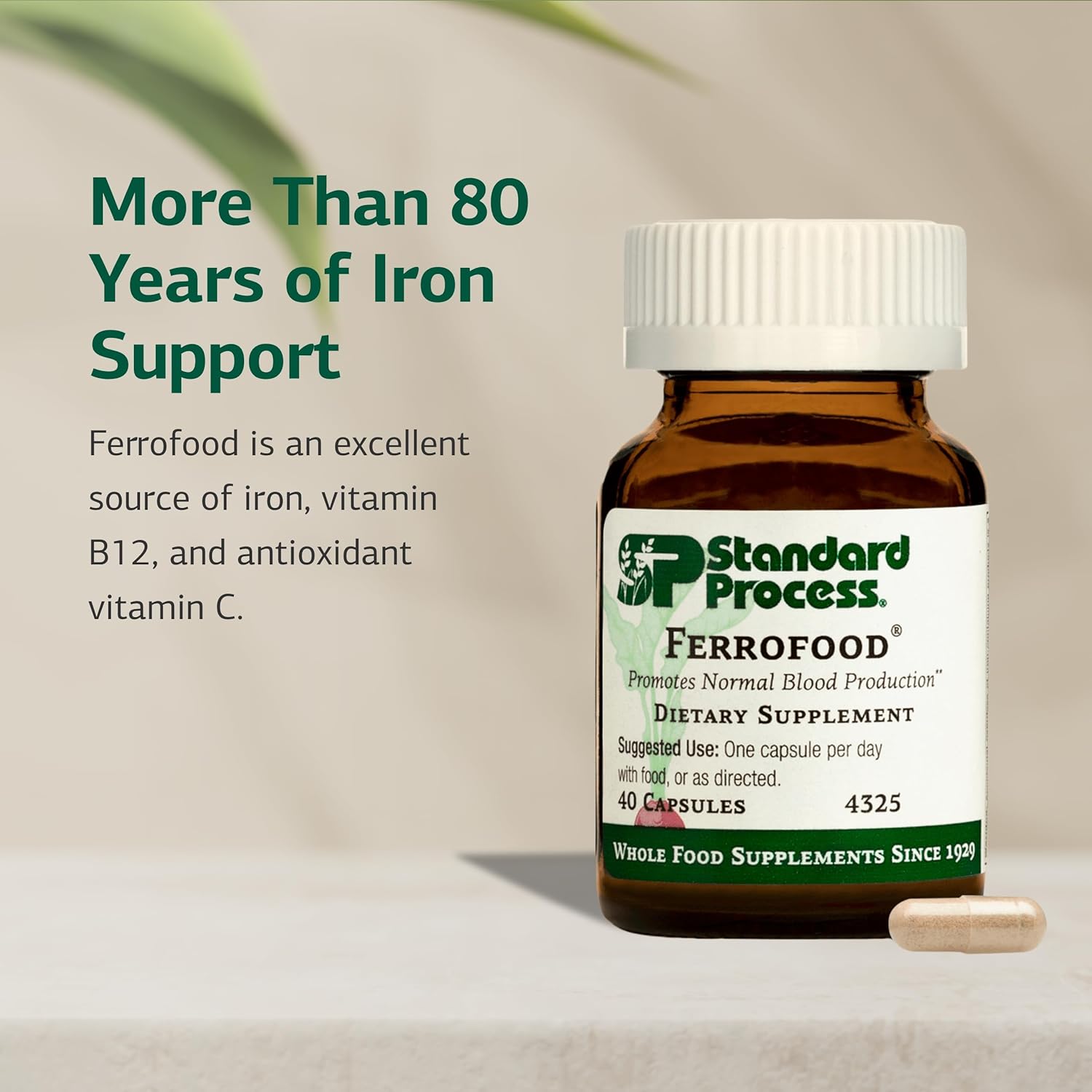 Standard Process Ferrofood - Iron Supplement to Support Normal Blood Production - Aid Iron Absorption with Vitamin C - Health Supplement with Alfalfa