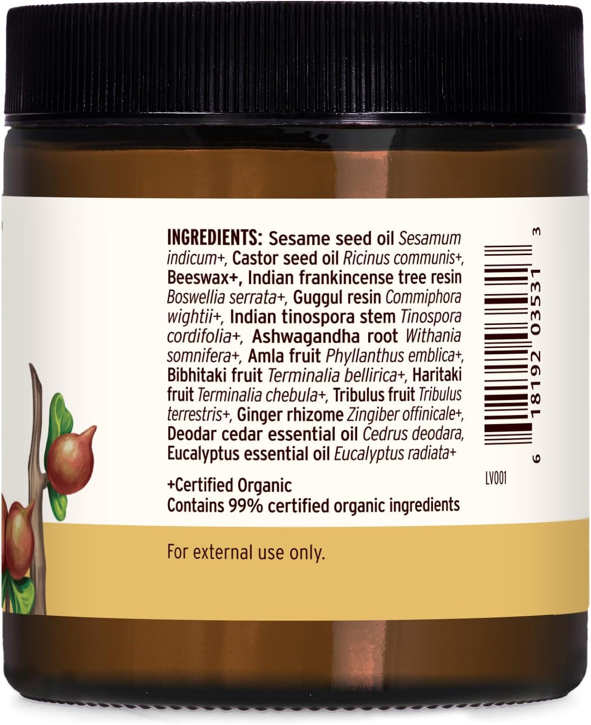 Banyan Botanicals Joint Balm – Organic Balm for Joints with Boswellia and Guggulu – for Supporting Comfortable Joints and Overall Joint Health – 4 oz – Non-GMO Sustainably Sourced Petroleum Free