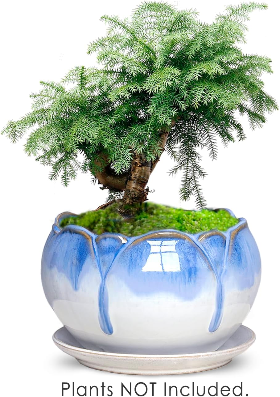Dahlia 8.3'' Inch Large Shallow Drip Glazed Ceramic Planter/Succulent Pot/Plant Pot, Green