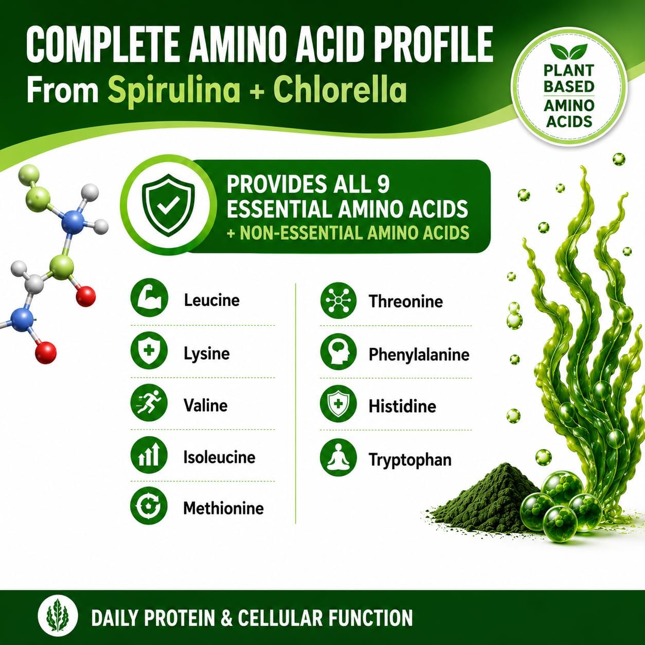 Chlorella Spirulina Powder Capsules 3000 mg of BMAA Free Purest Blue Green Algae - Best Natural Detox Raw Vegan Vitamins Protein Green Superfood