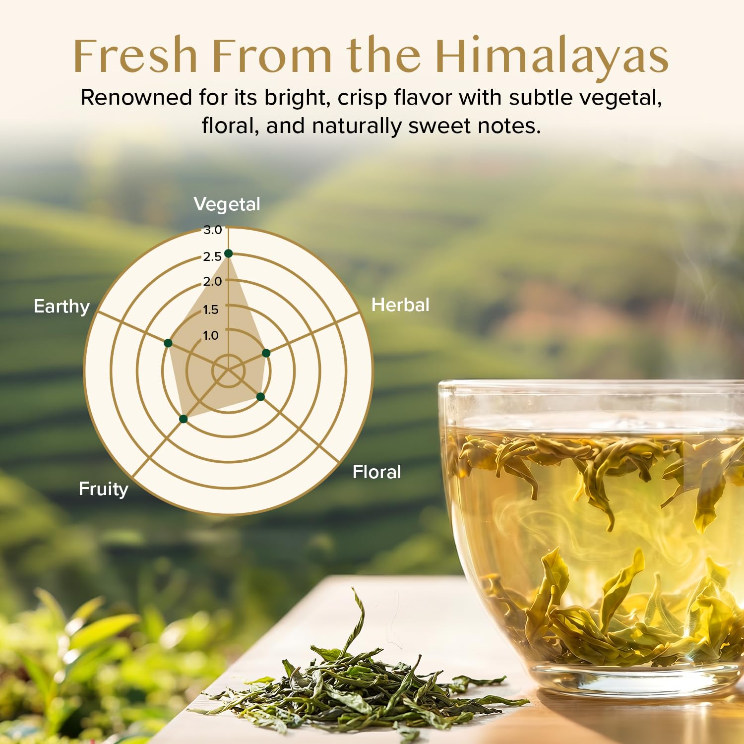 VAHDAM, Green Tea Leaves From Himalayas 170+ Cups (12oz) High Elevation Grown Green Tea Leaves From Himalayas | Pure Unblended Single Origin Green Loose Leaf Tea | Vacuum Sealed